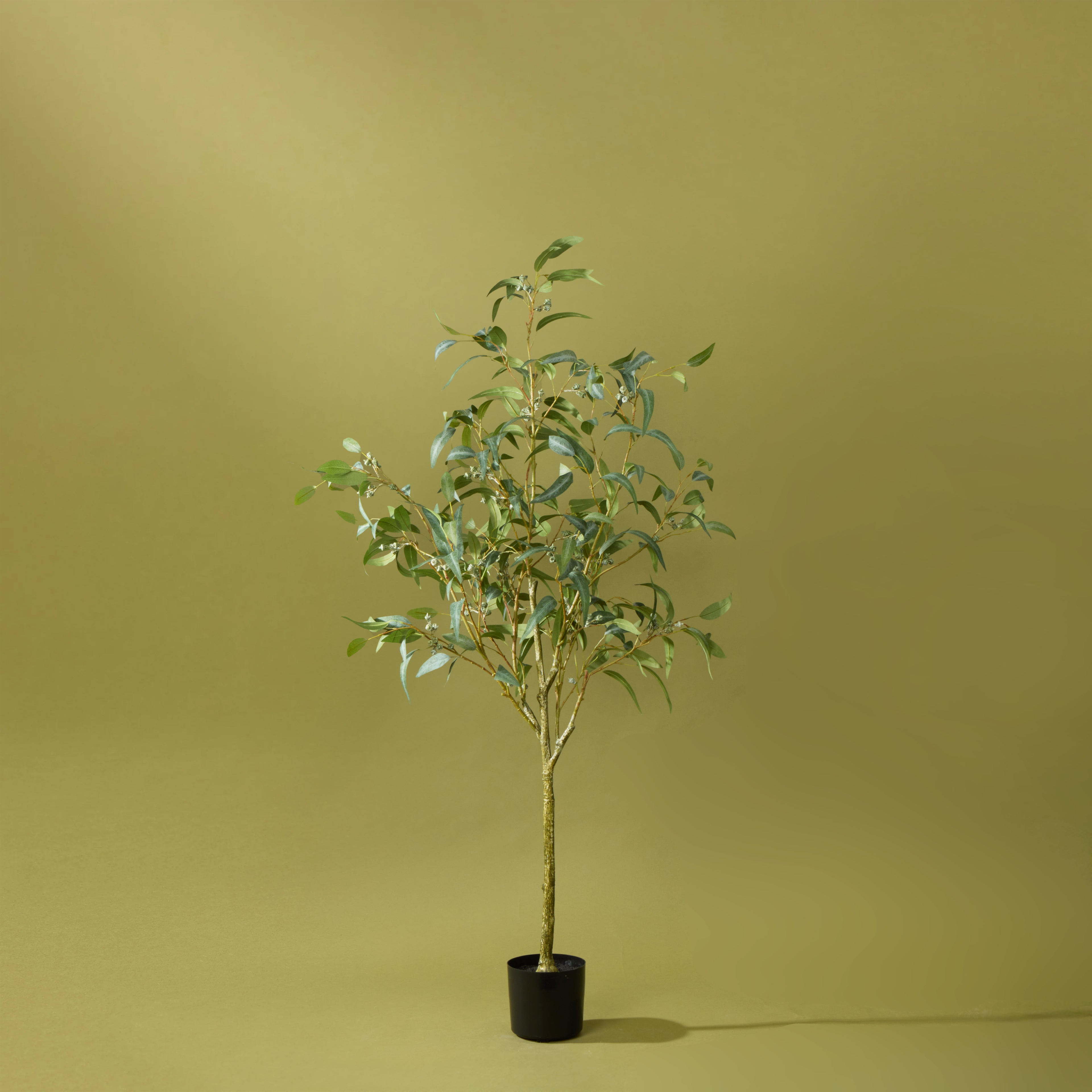Faux Eucalyptus Gumnut Tree - Garden Pot | 170cm