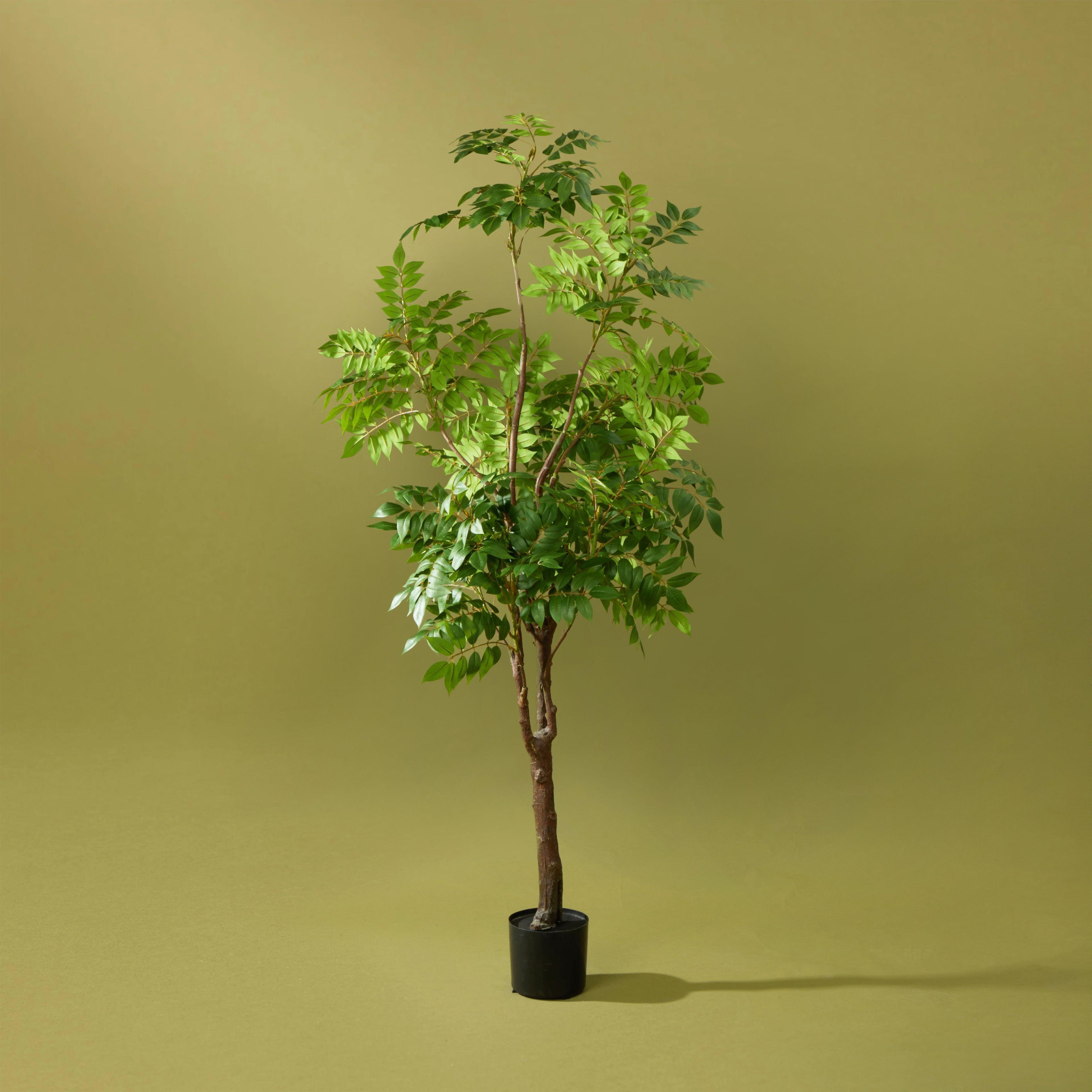 Faux Wisteria Tree - Garden Pot | 180cm