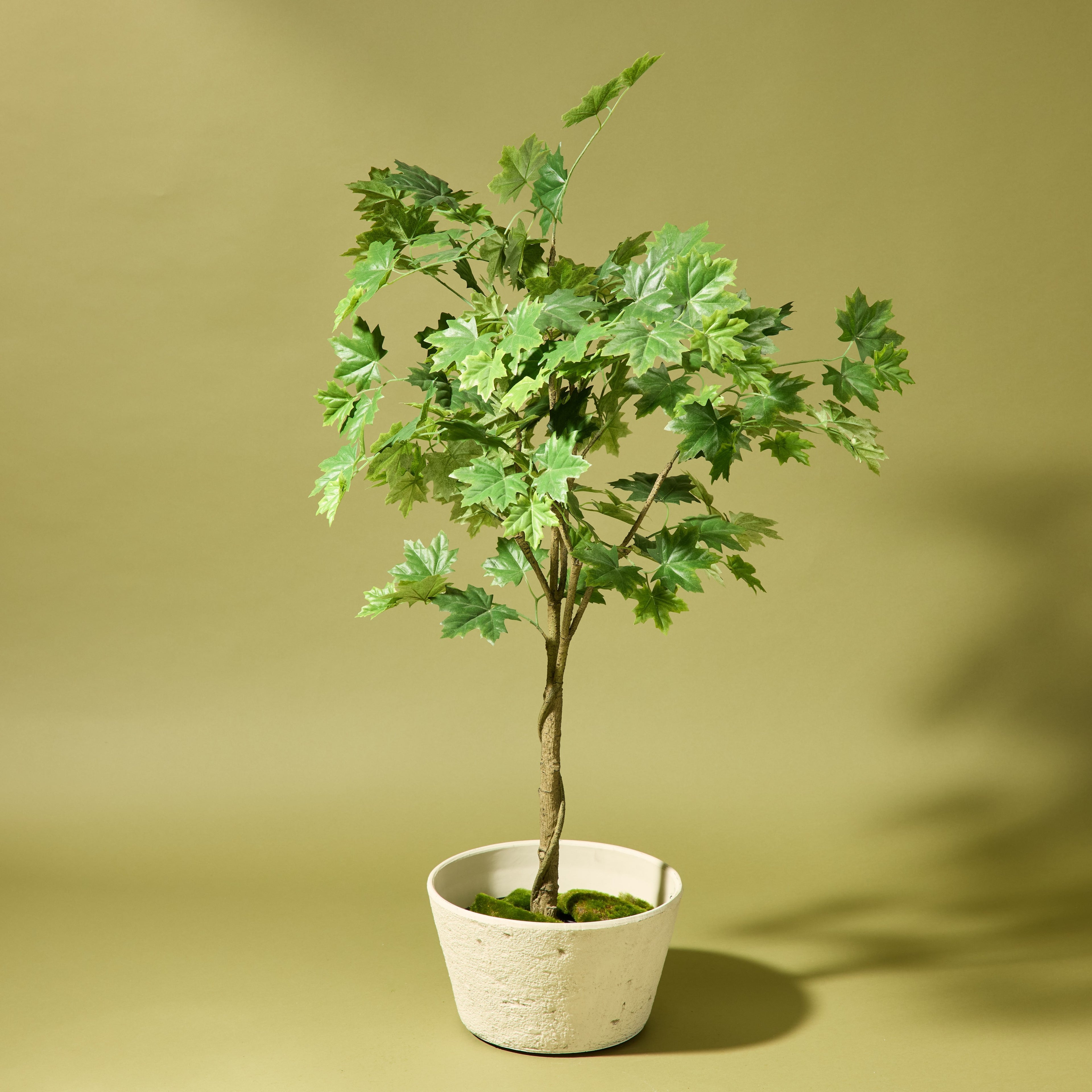 Faux Maple Tree - Garden Pot | 120cm