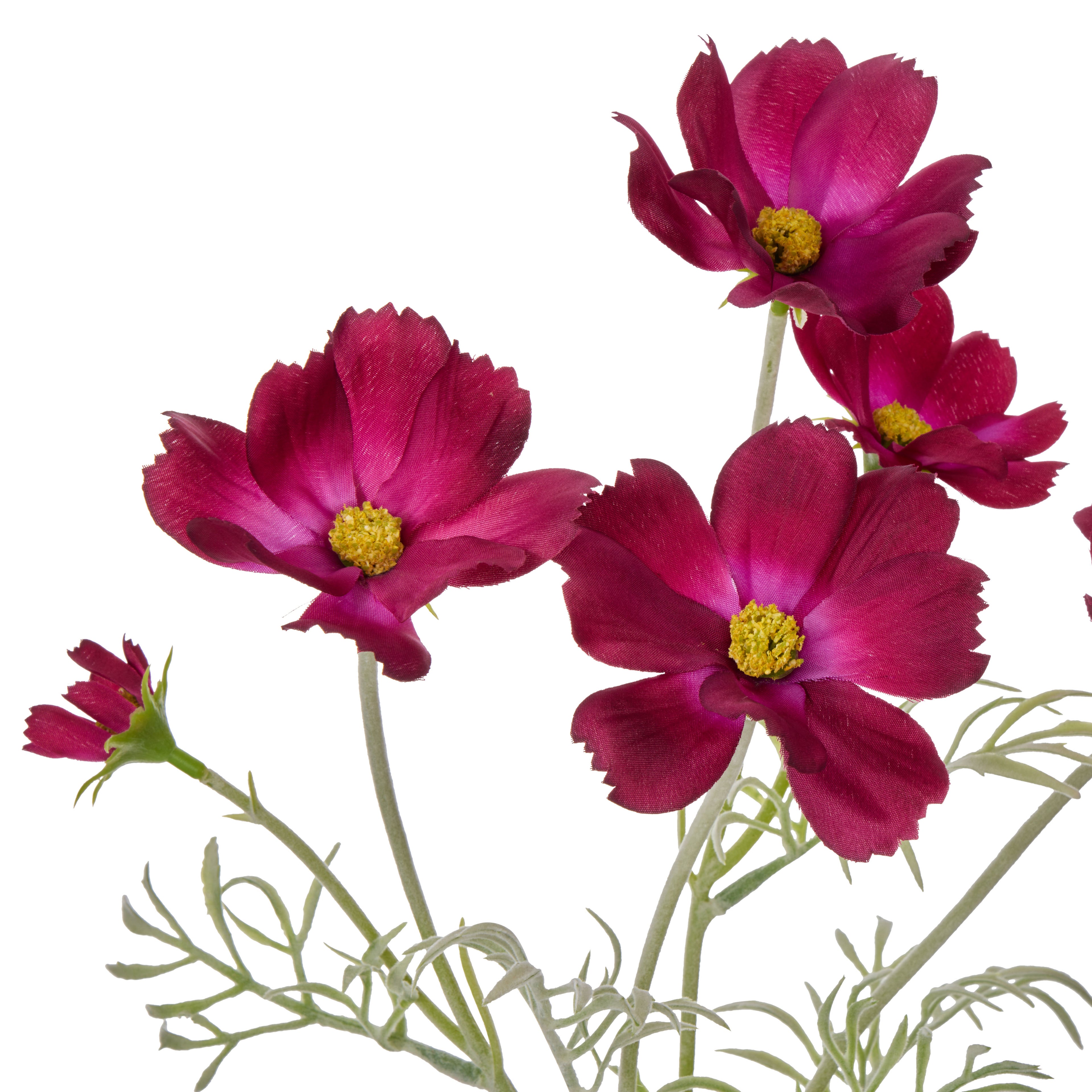 Faux Cosmos - Milk Bottle | Burgundy - 35cm
