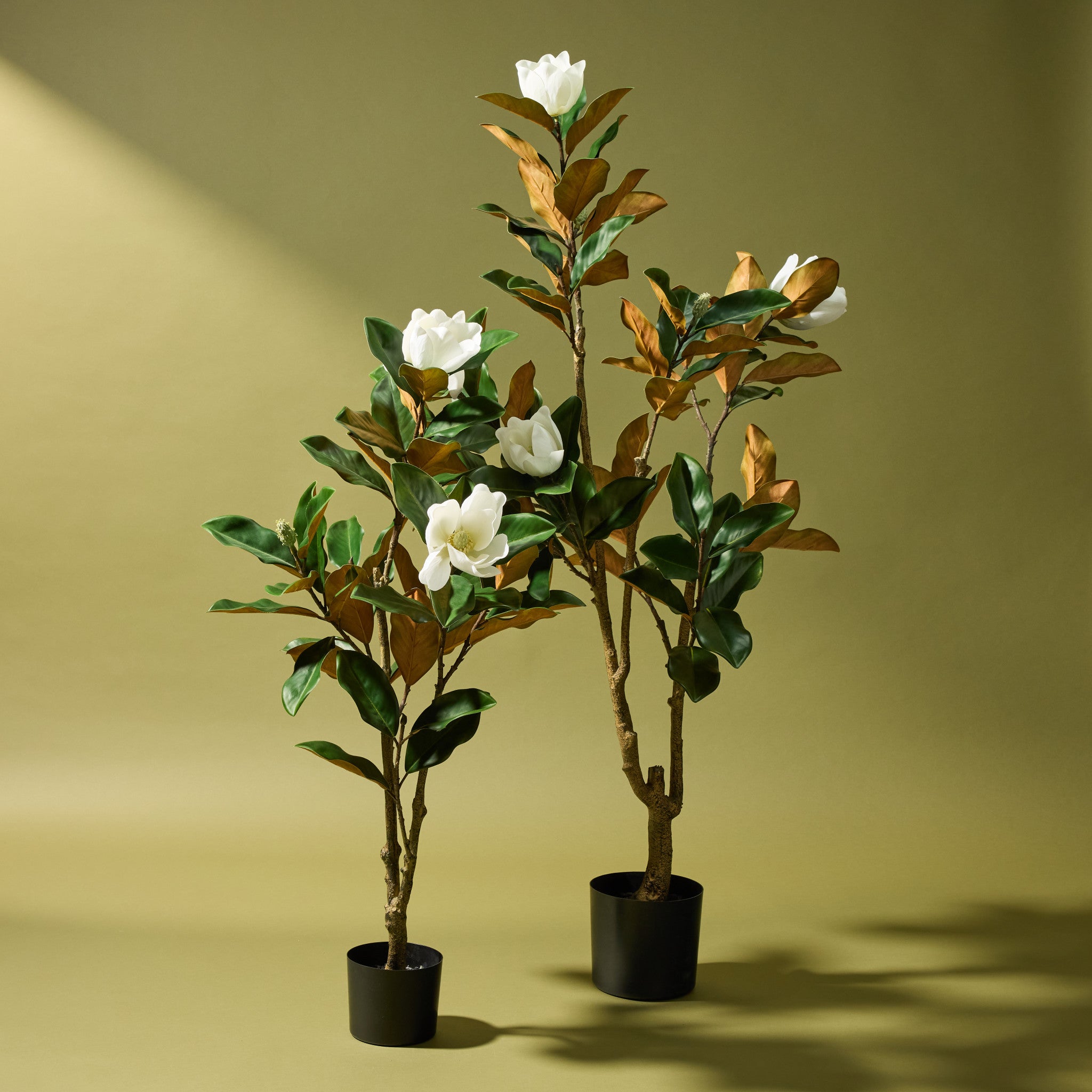 Faux Magnolia Tree | 158cm