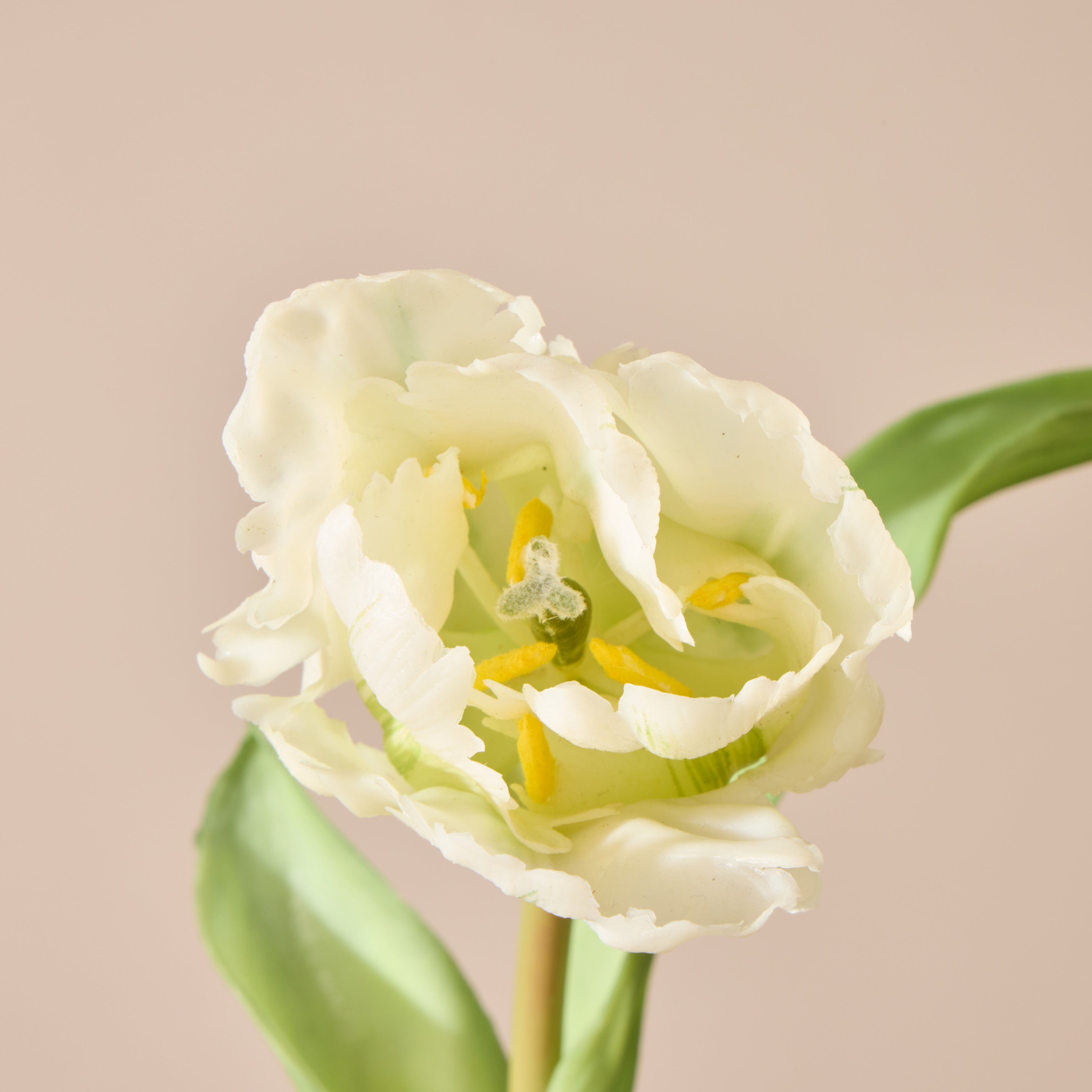 Faux Parrot Tulip Stem | White - 48cm