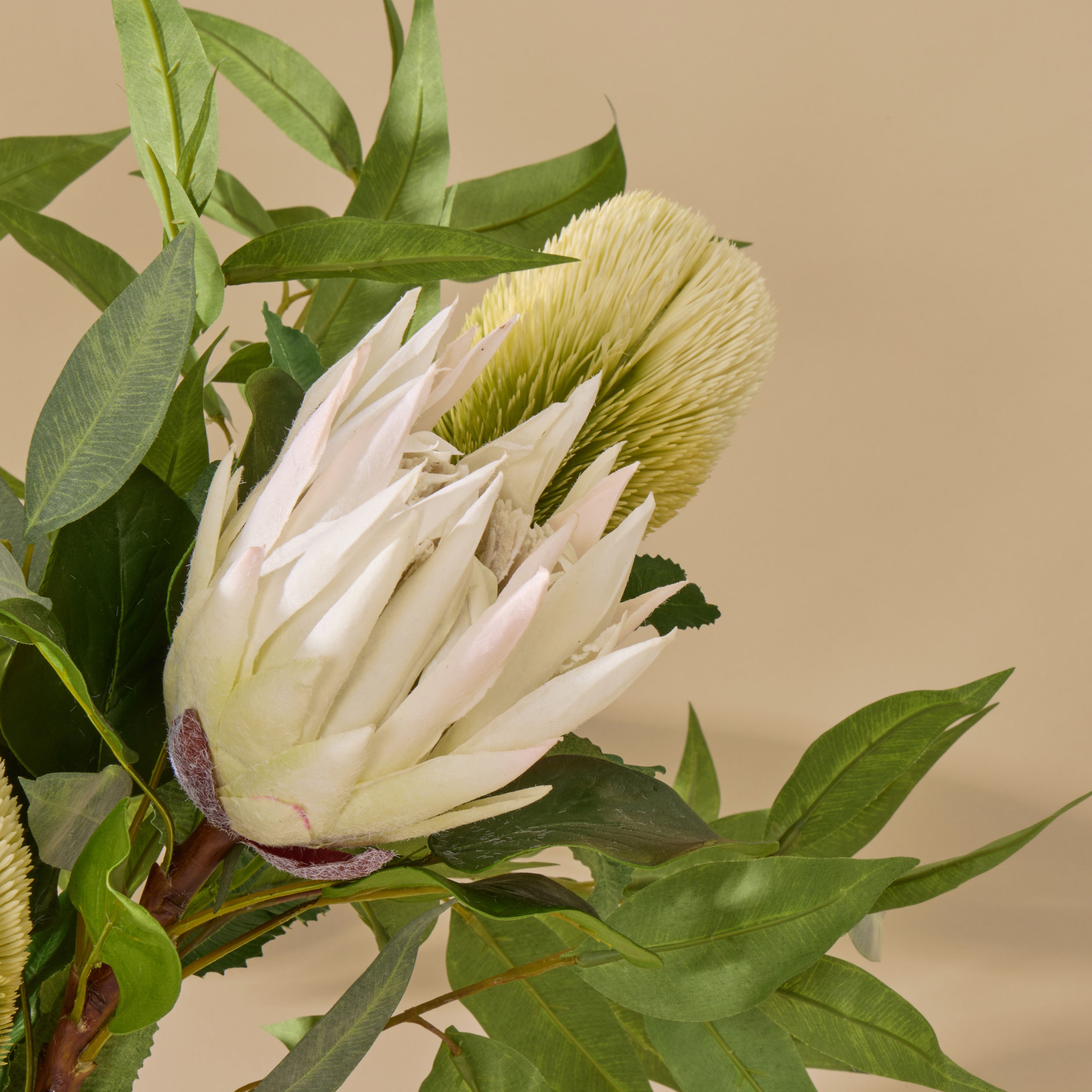 Faux Protea Eucalyptus Mix - Rachel Vase | 80cm