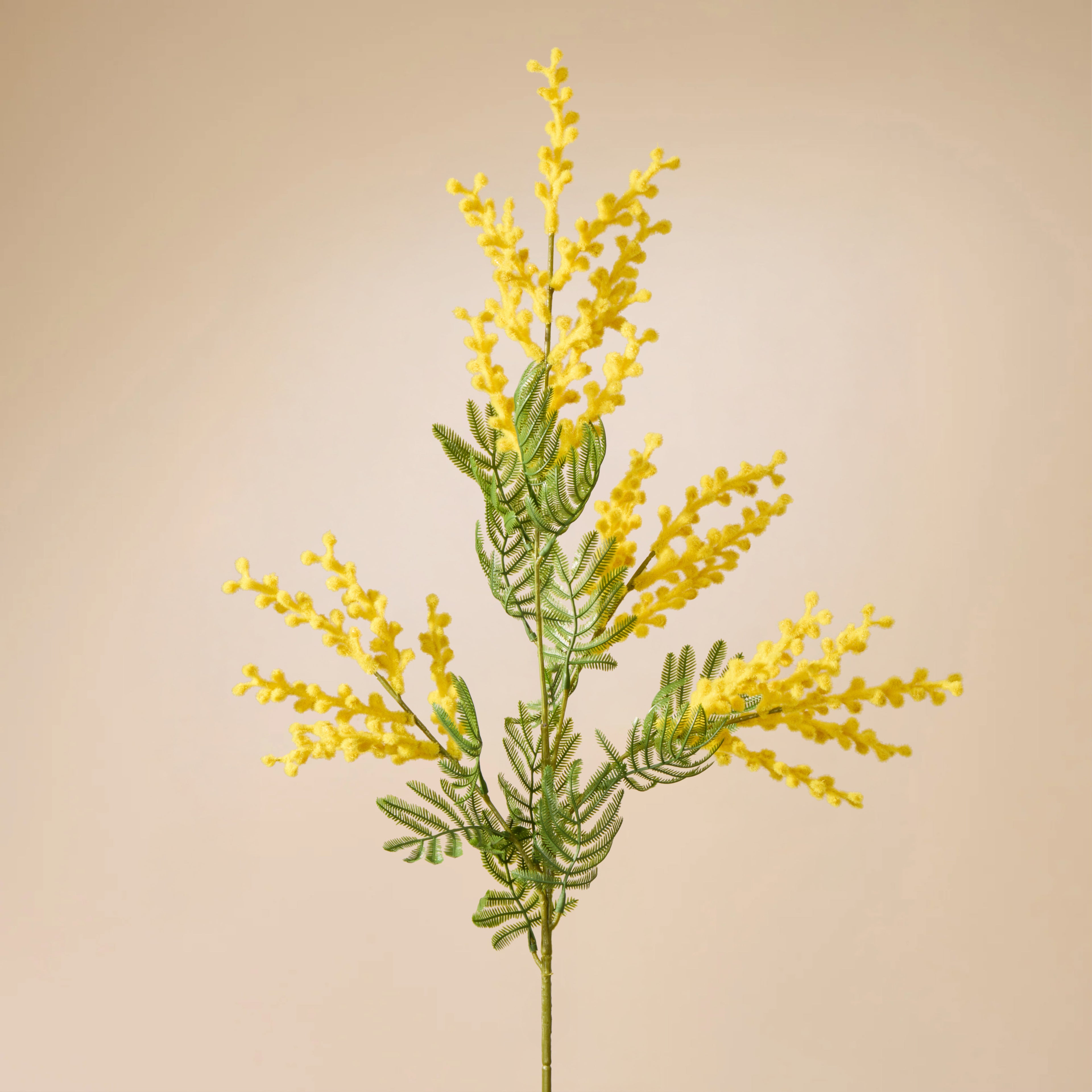 Faux Wattle Spray | Yellow - 85cm