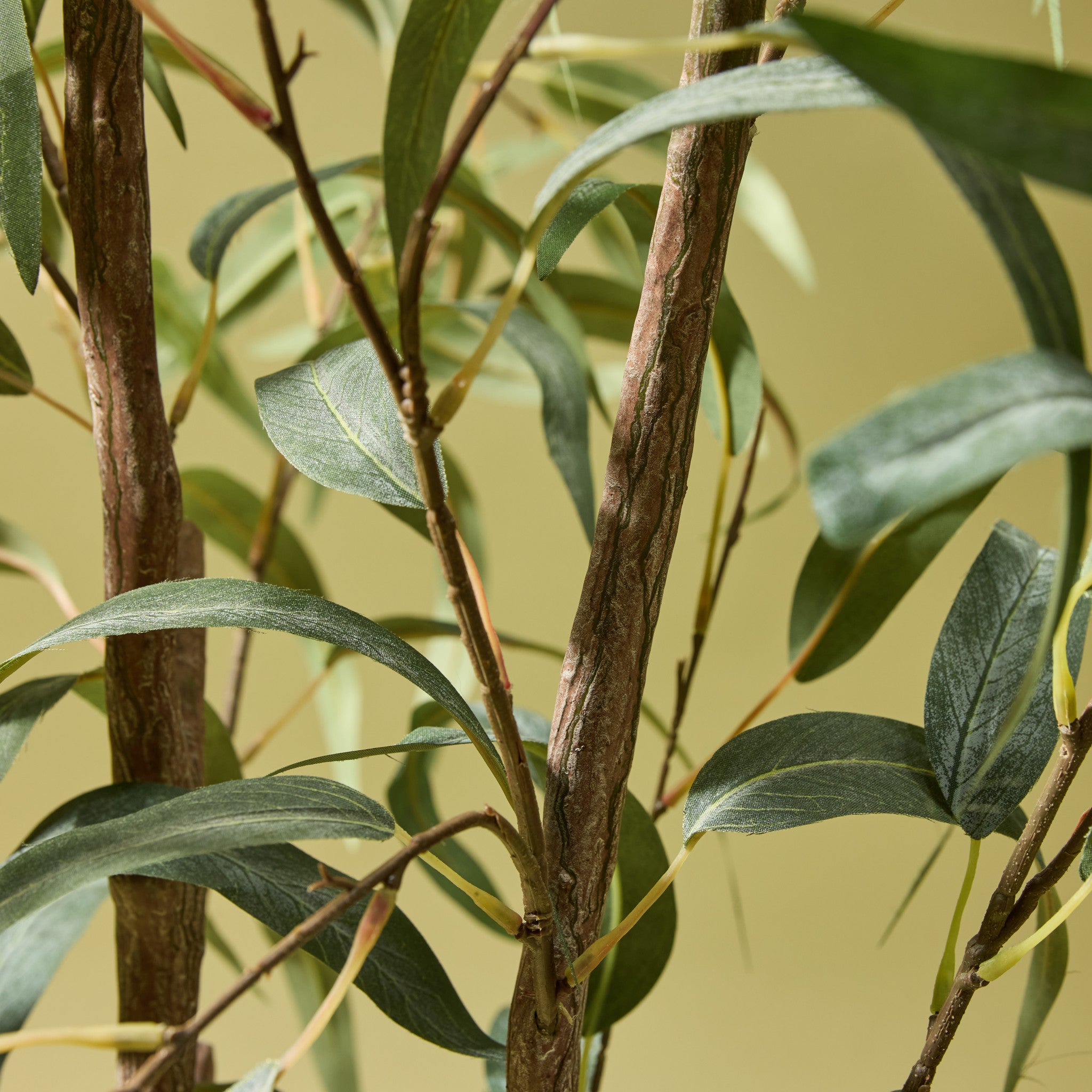 Faux Eucalyptus Willow Tree | 150cm
