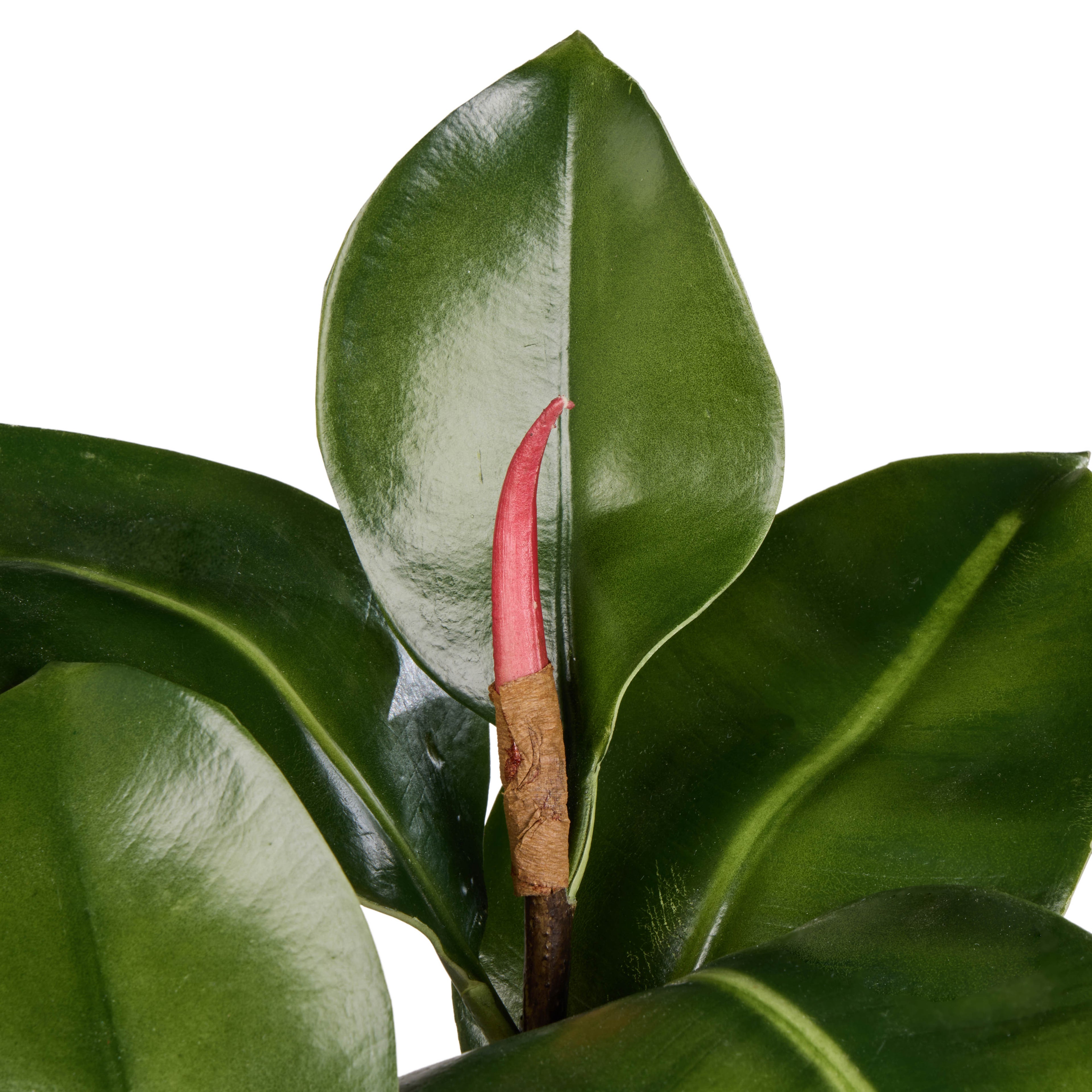 Faux Rubber Tree Spray | Green - 70cm