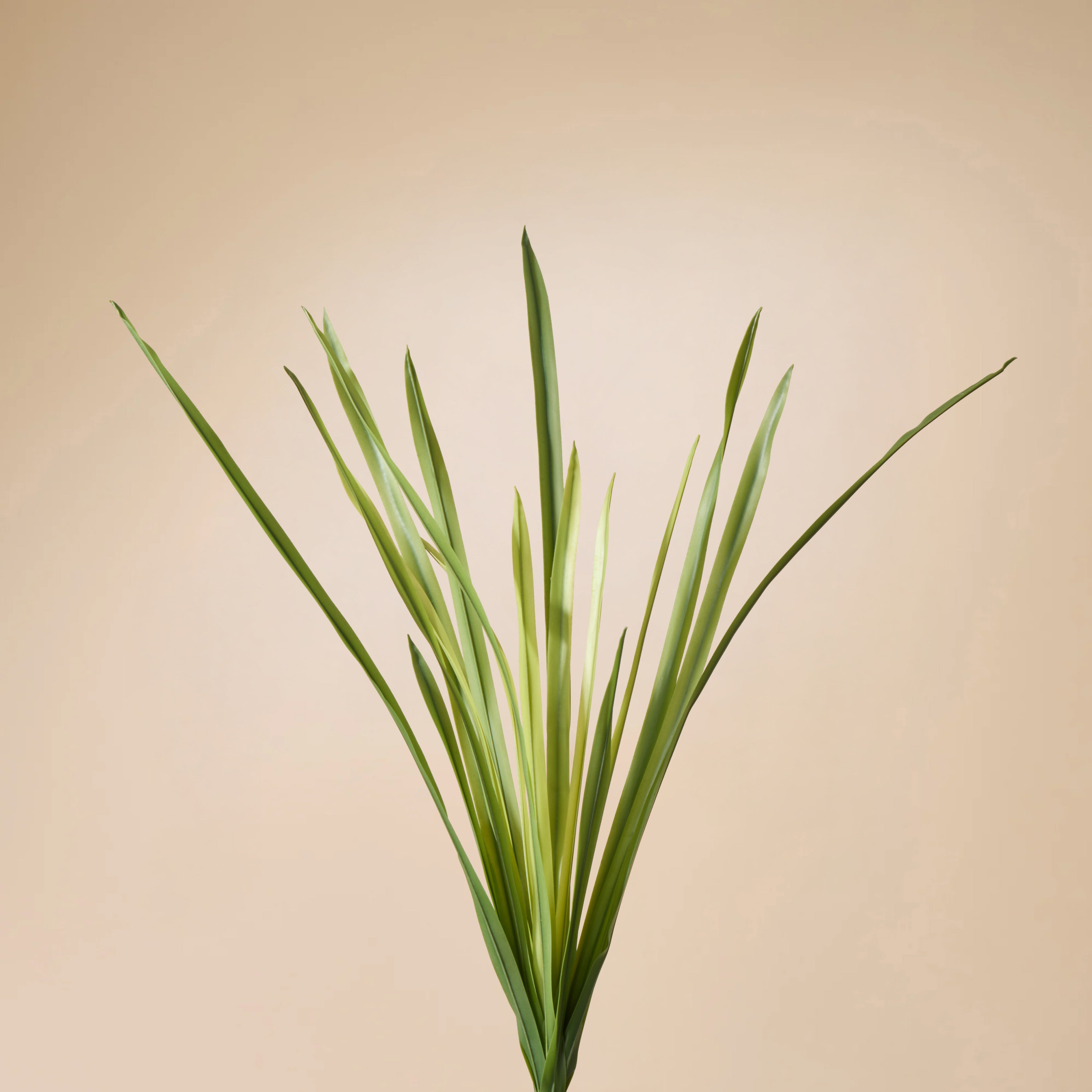 Faux Grass Plant | Green - 60cm