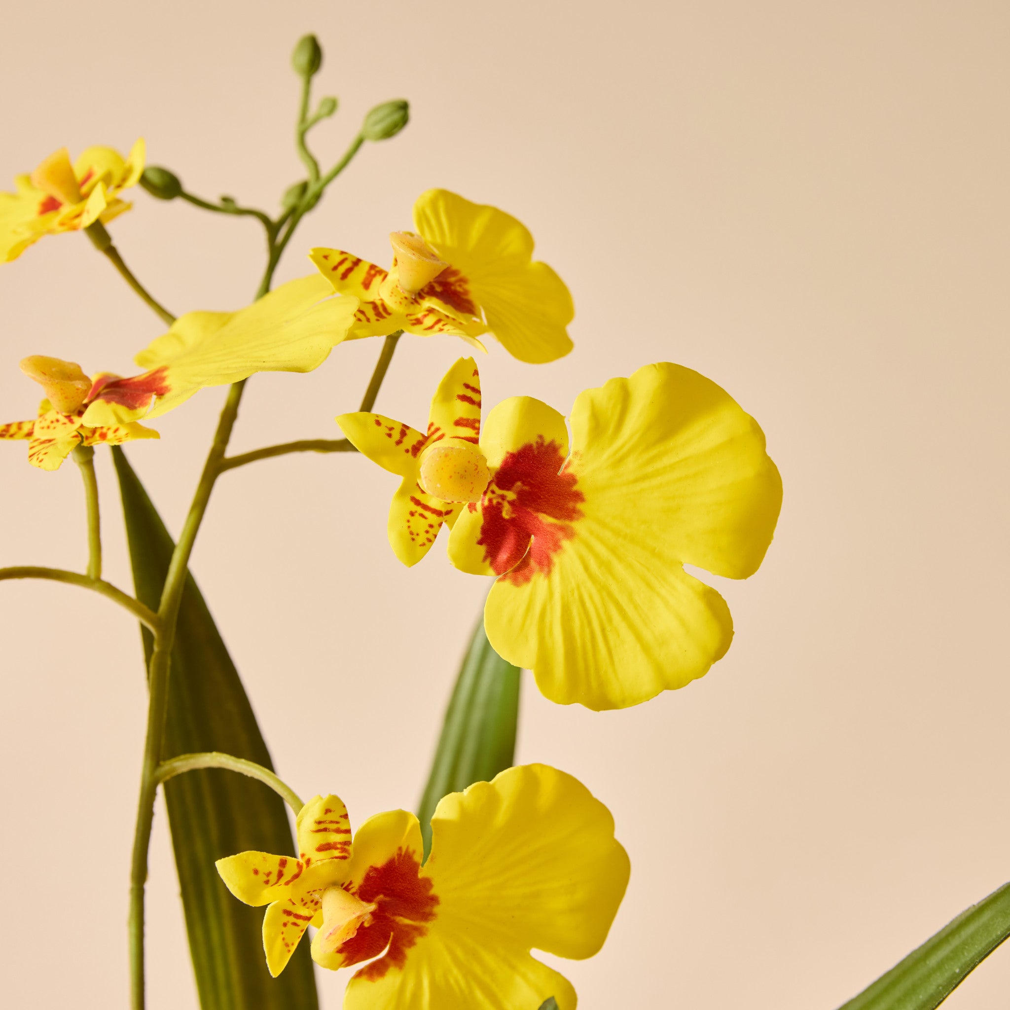 Faux Dancing Orchid Pot | Yellow - 30cm