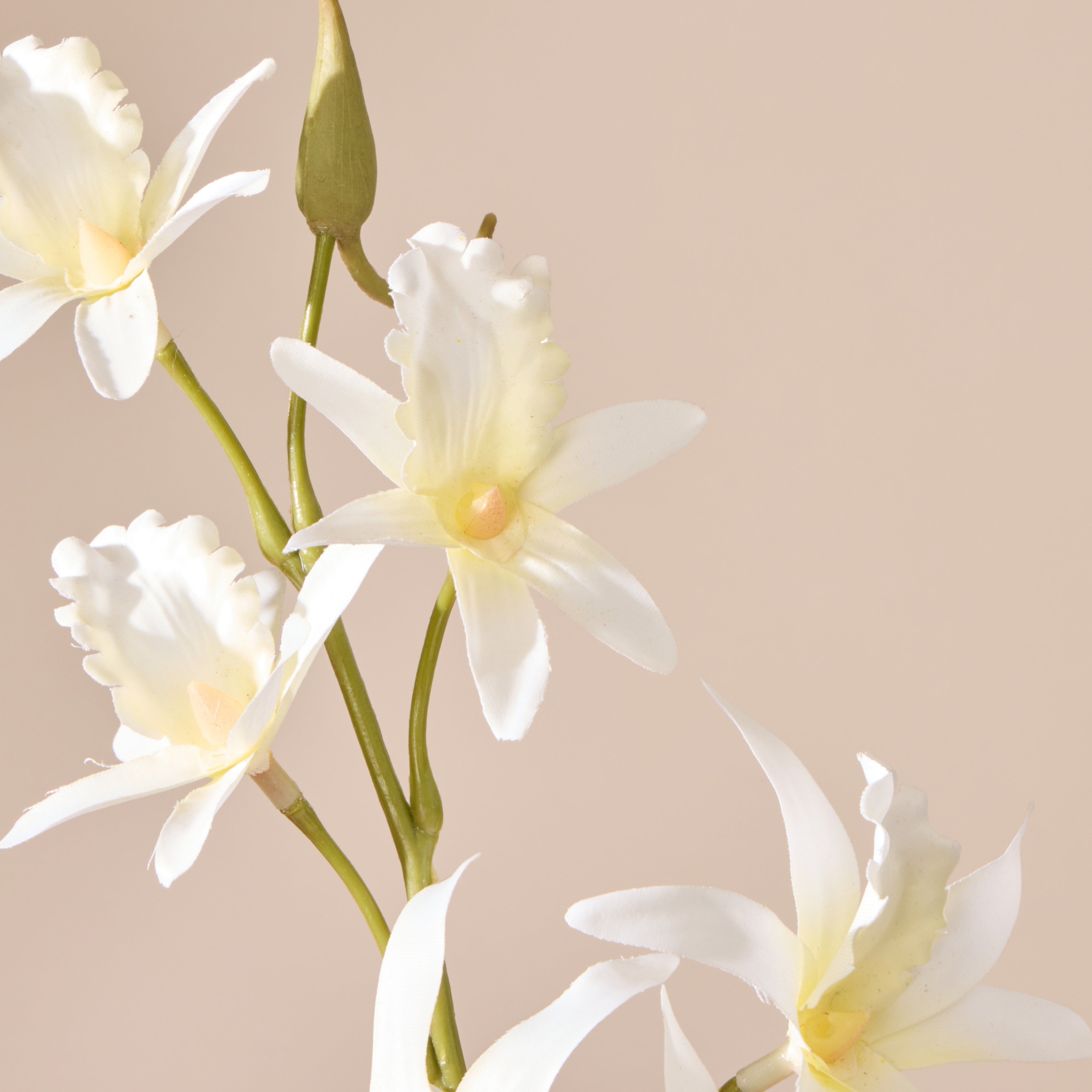 Faux Dendrobium Spray | White - 92cm