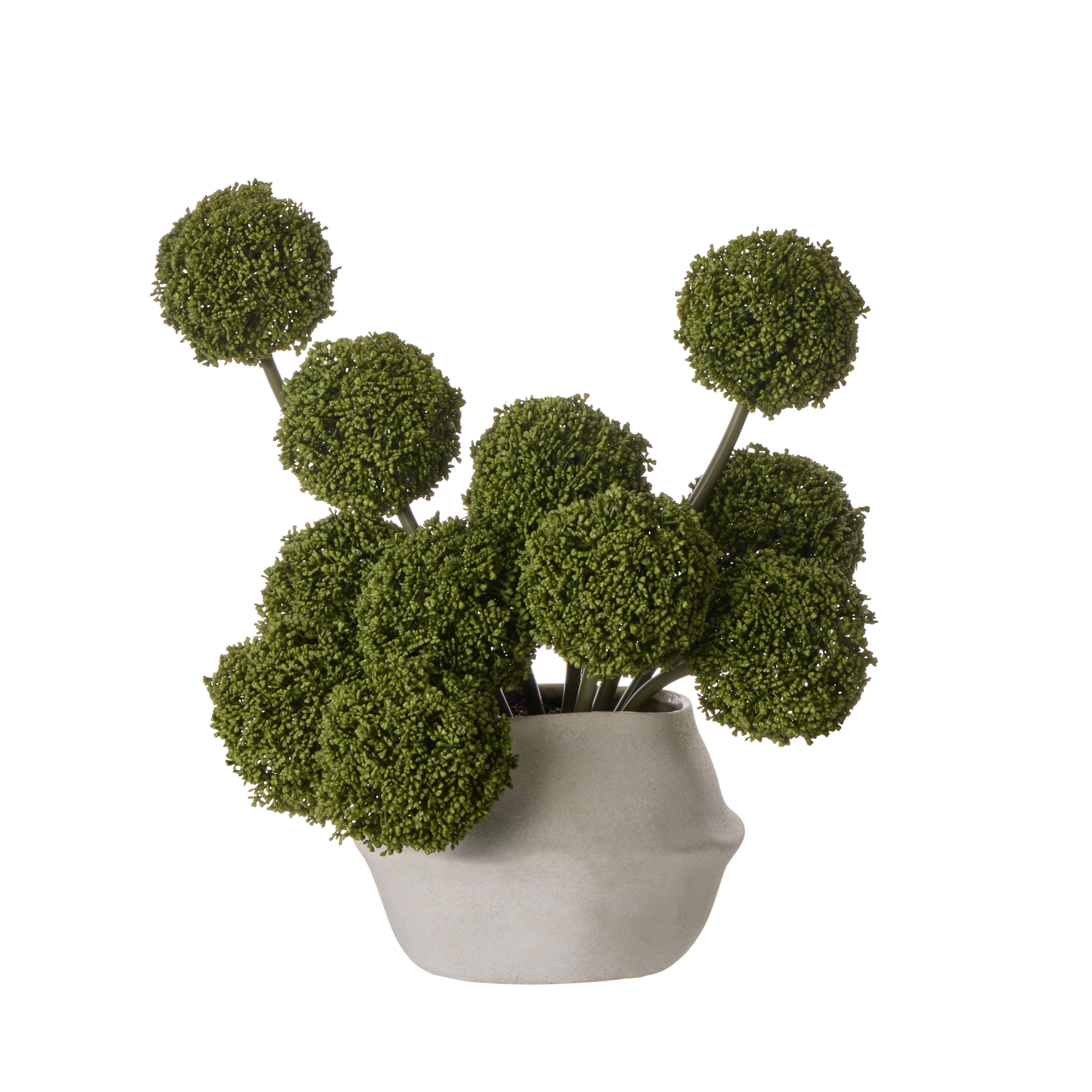 Faux Allium Spheres Arrangement - Maliah Pot | Green - 55cm