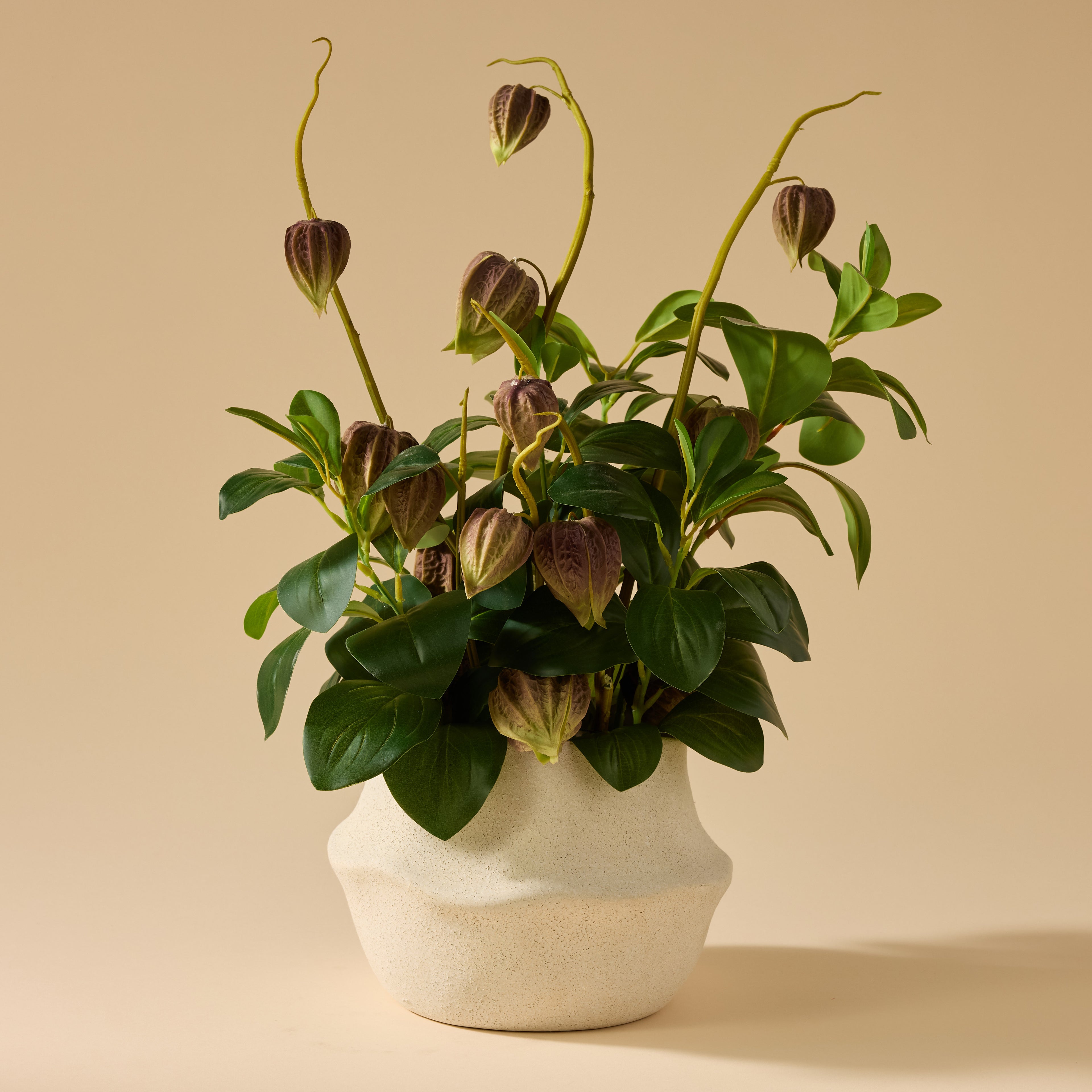 Faux Chinese Lantern Lush Leaf - Maliah Pot Wide | Green - 55cm