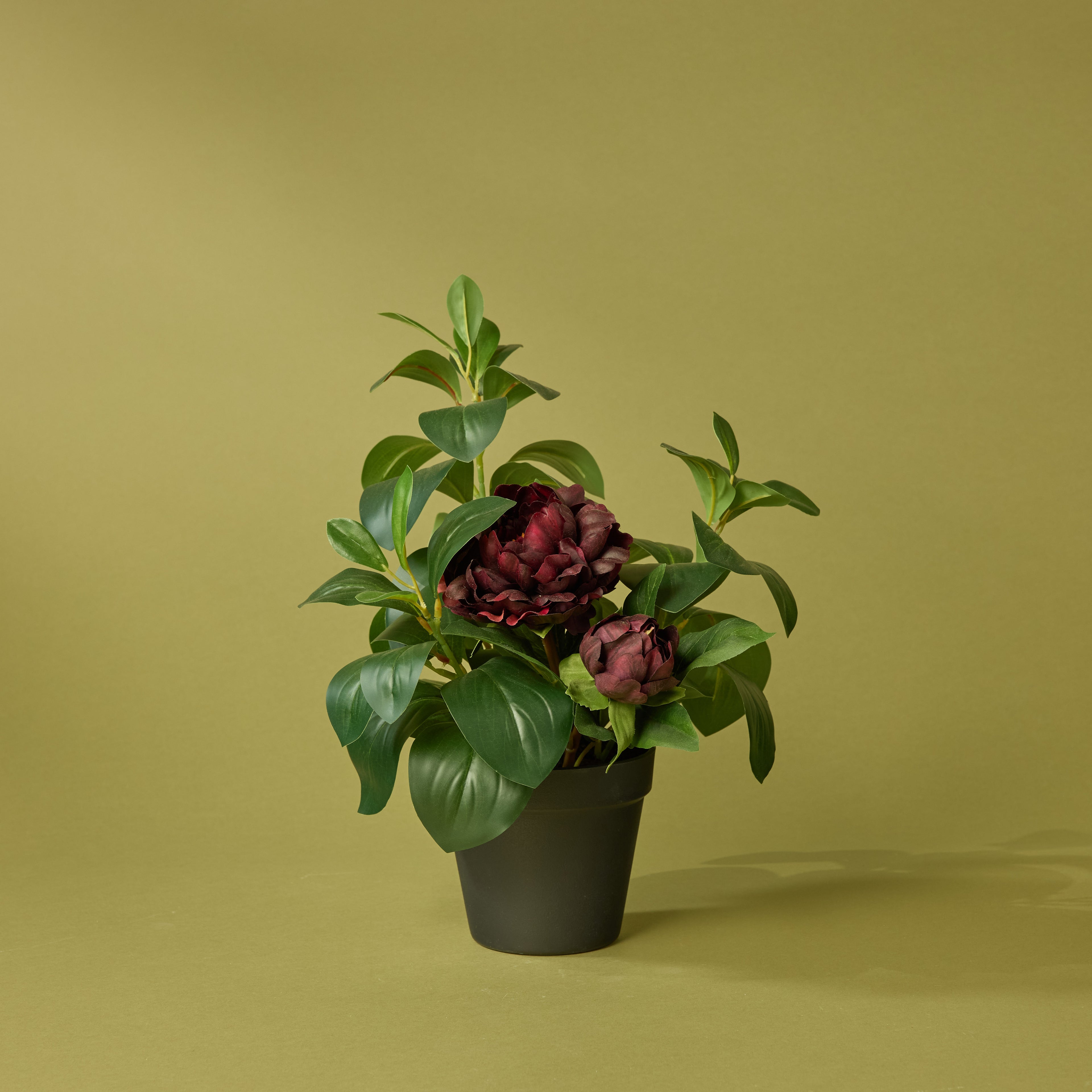 Faux Peony Lush Leaf - Garden Pot | Burgundy - 38cm