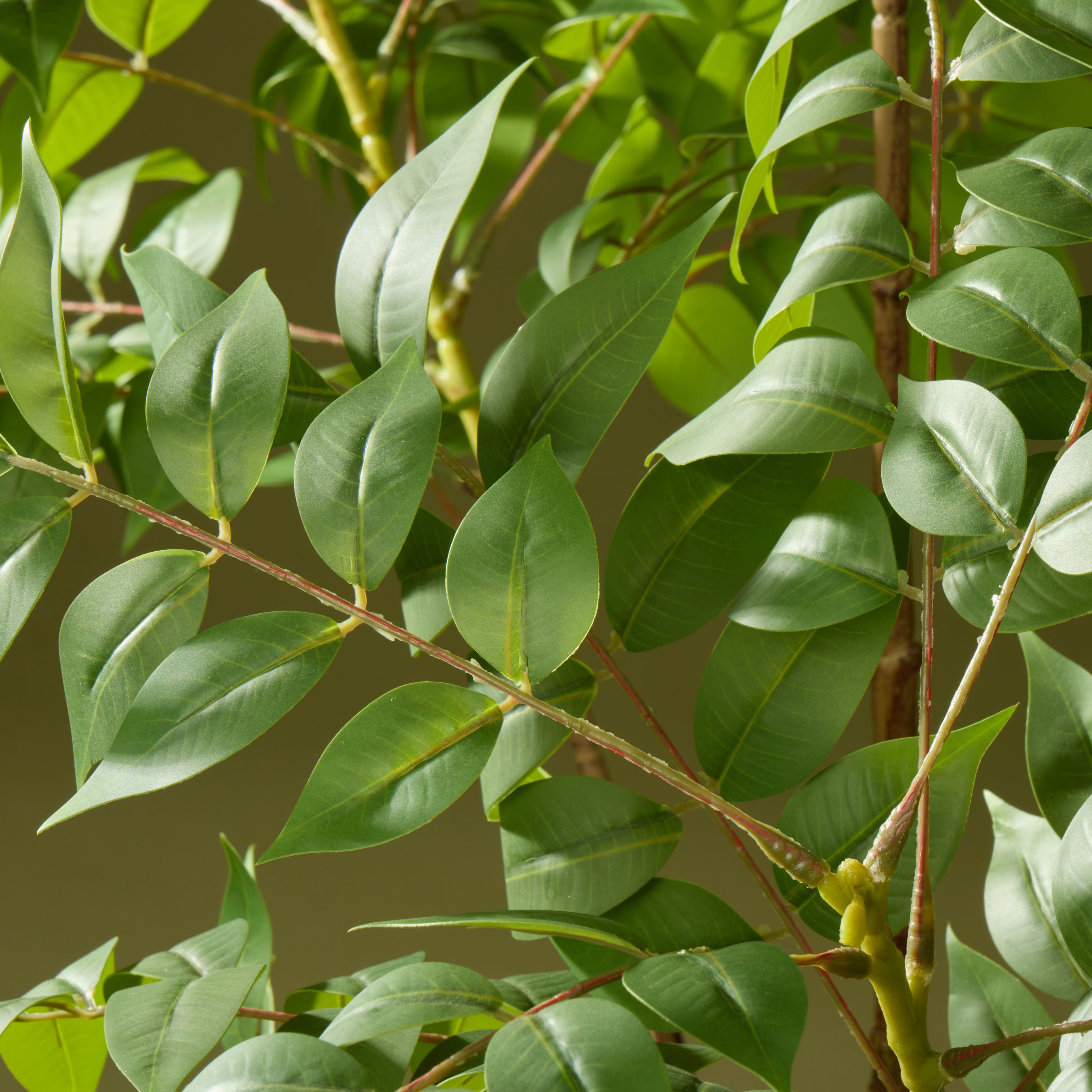 Faux Wisteria Tree - Garden Pot | 168cm