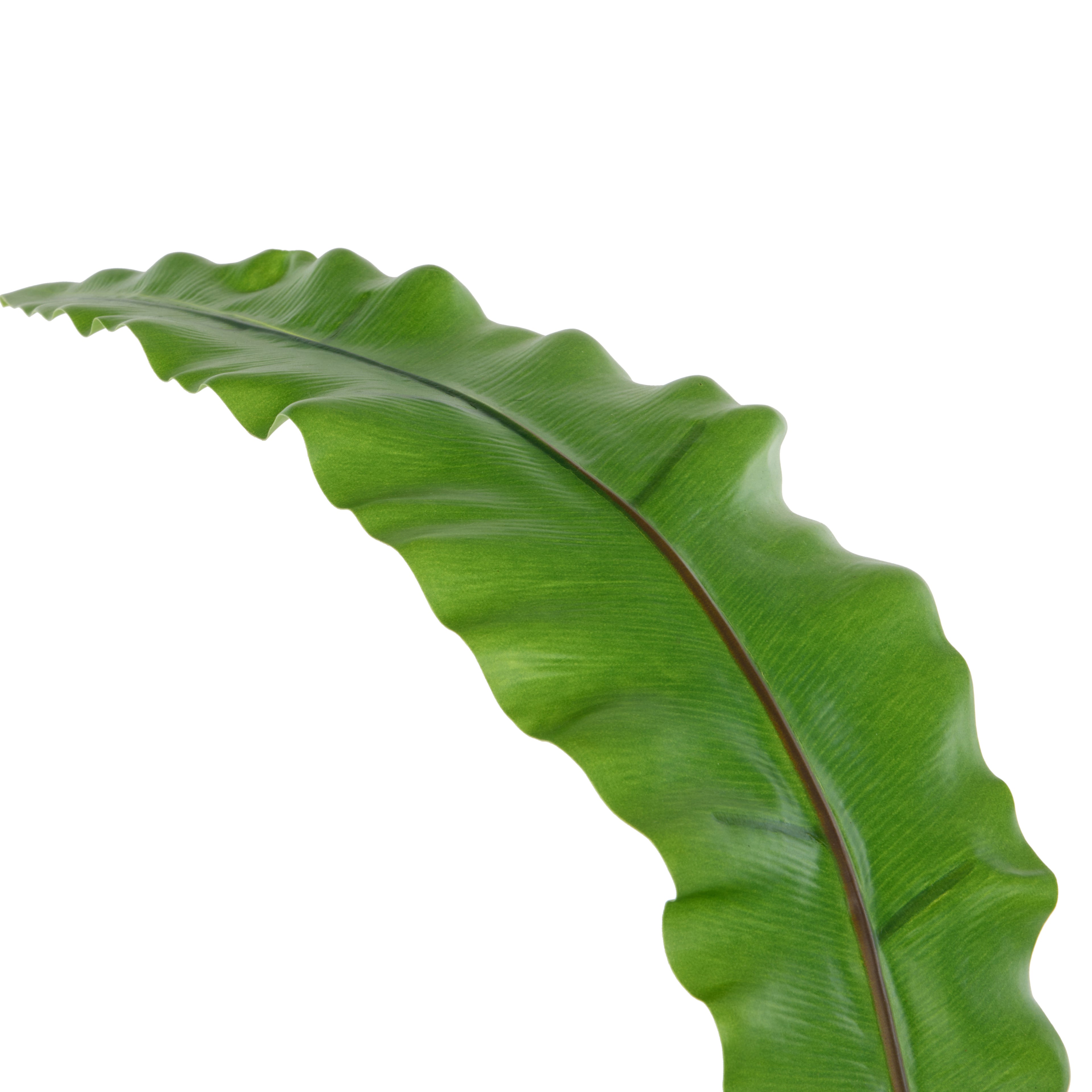 Faux Fern Leaf | Green - 108cm