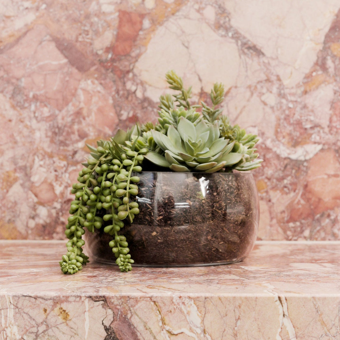 Faux Succulent Mix - Scarlett Bowl | 27cm