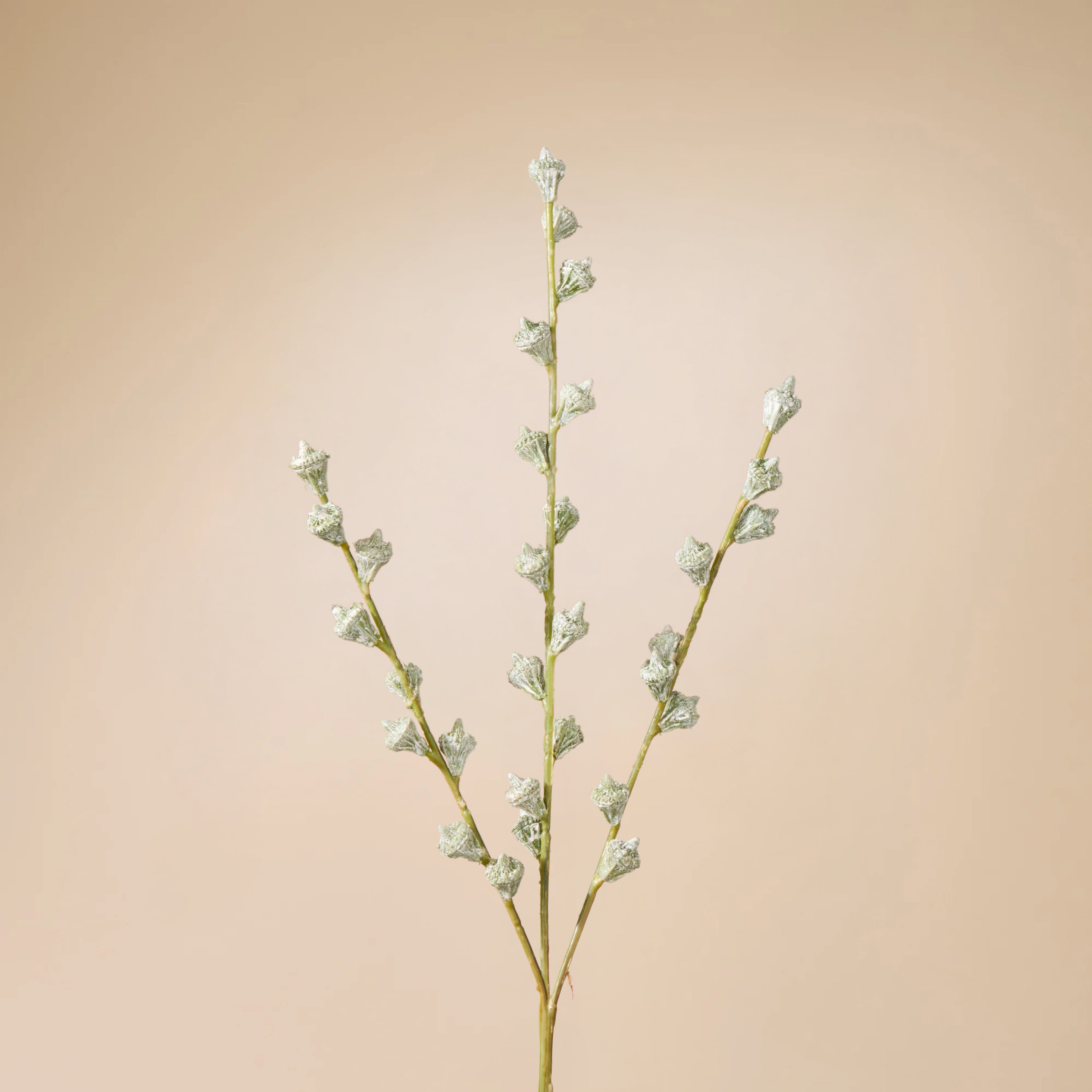 Faux Gumnut Spray | White - 62cm