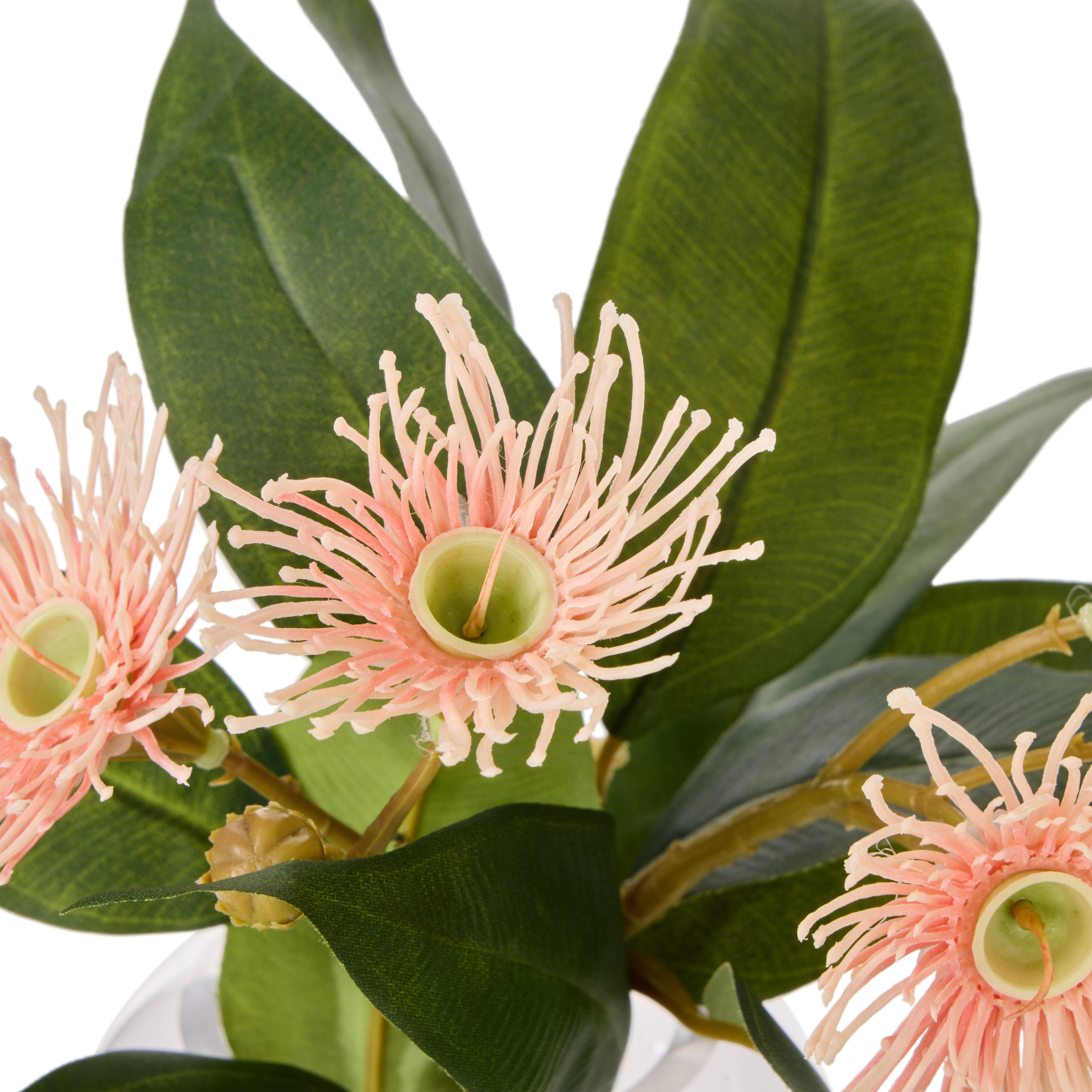 Faux Flowering Eucalyptus - Phoebe Vase | Pink - 21cm