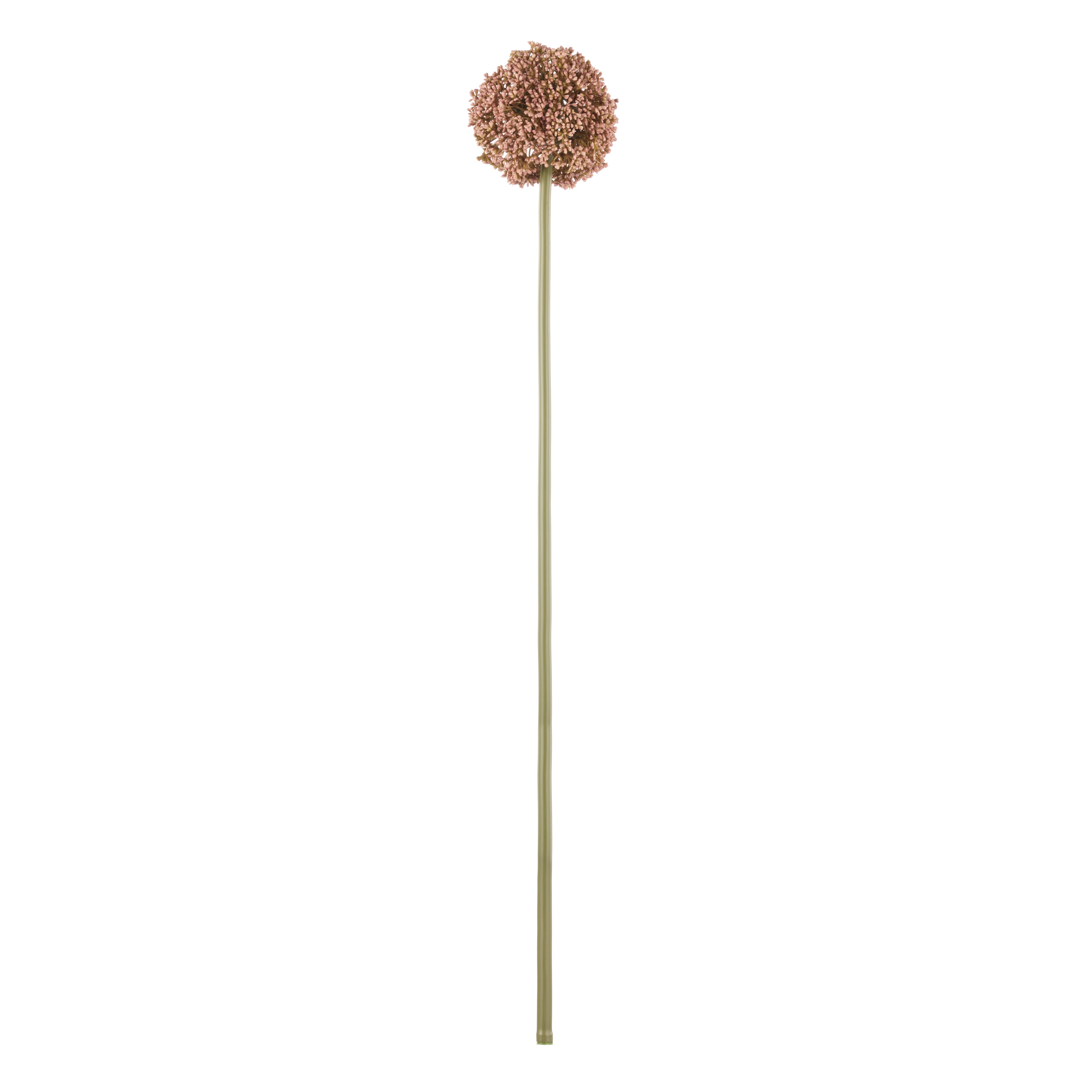 Faux Allium Stem | Pink - 76cm