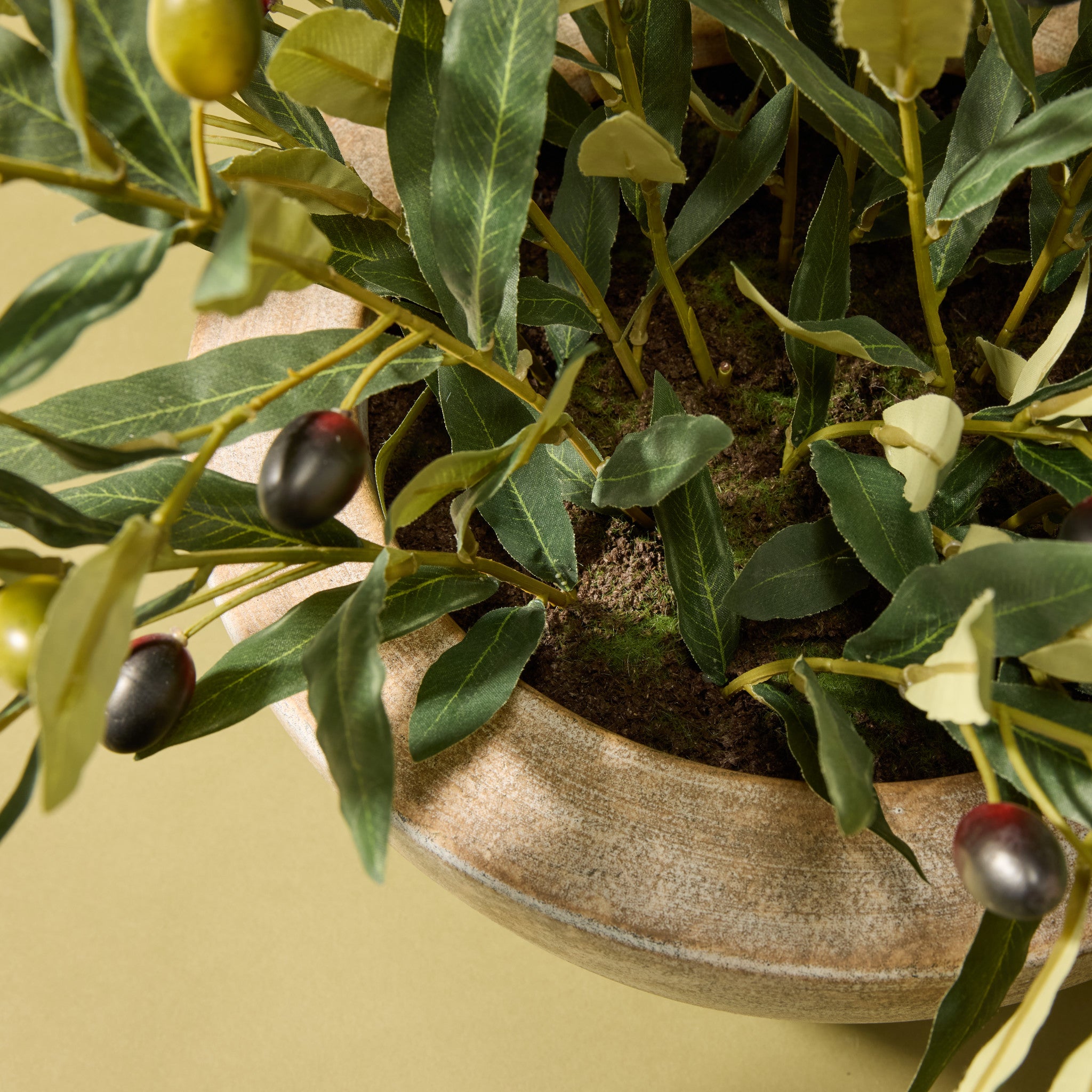 Faux Olive Spray Arrangement - Earthenware Bowl | 68cm