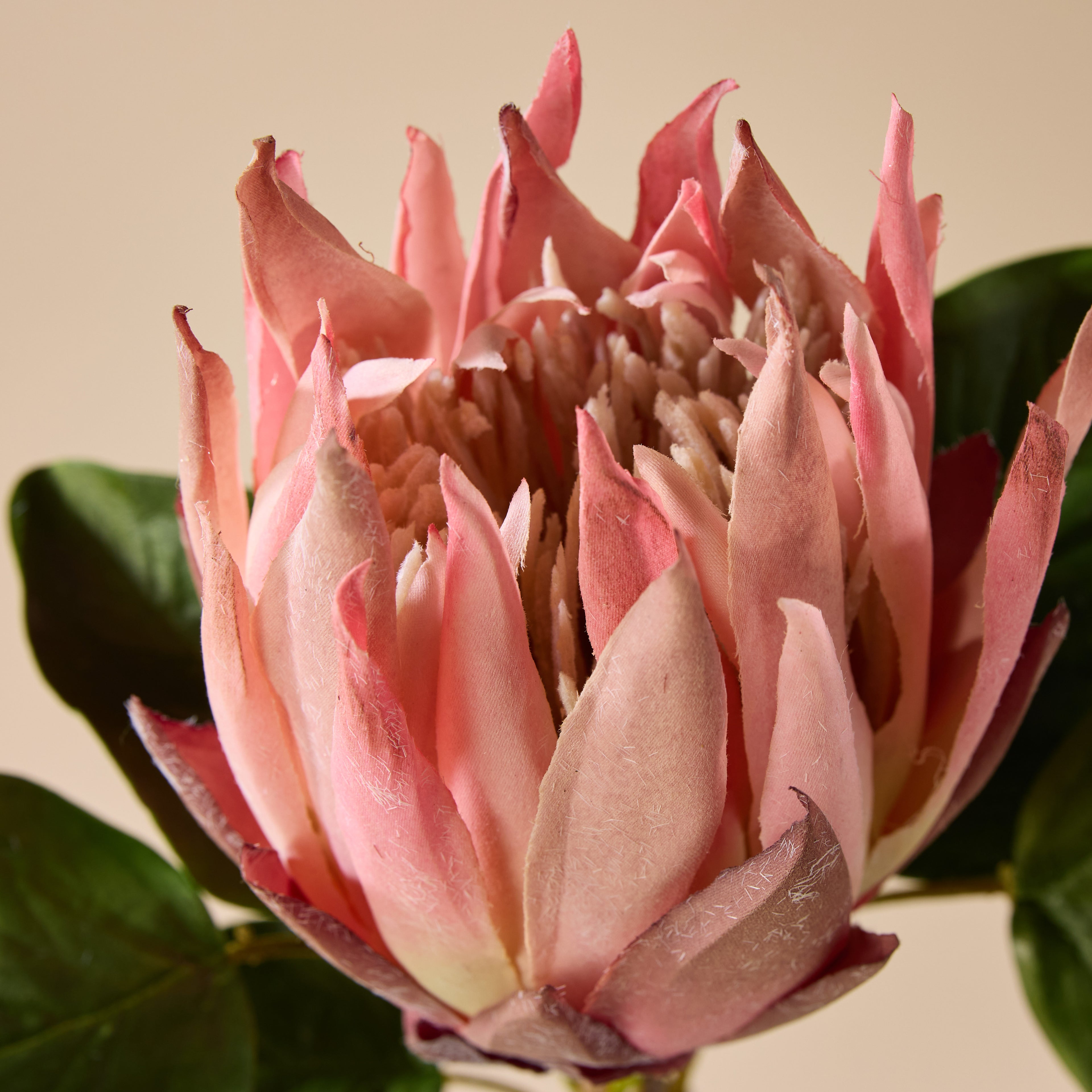 Faux King Protea Stem | Pink - 60cm