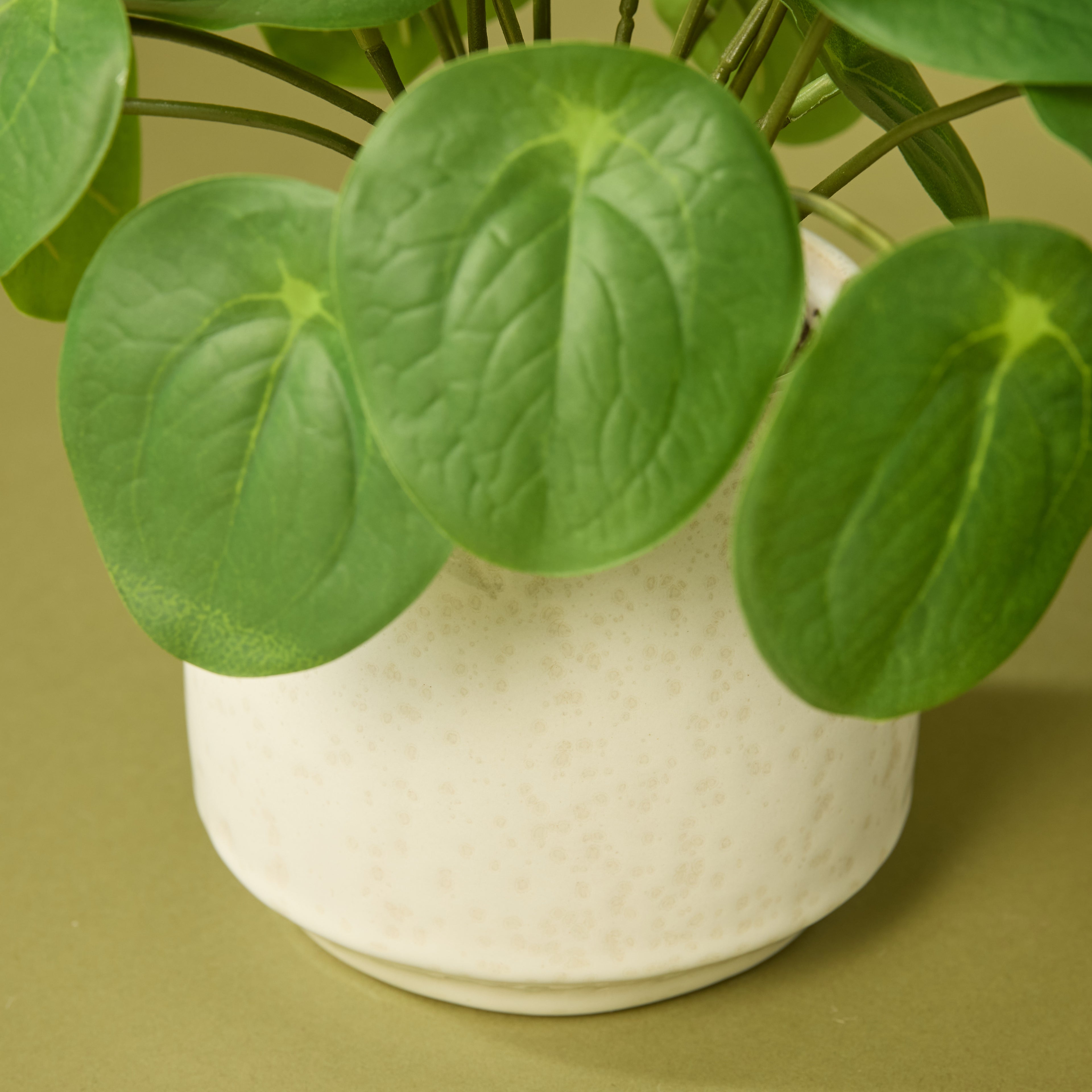 Faux Pilea Plant - Gianna Pot | Green - 24cm
