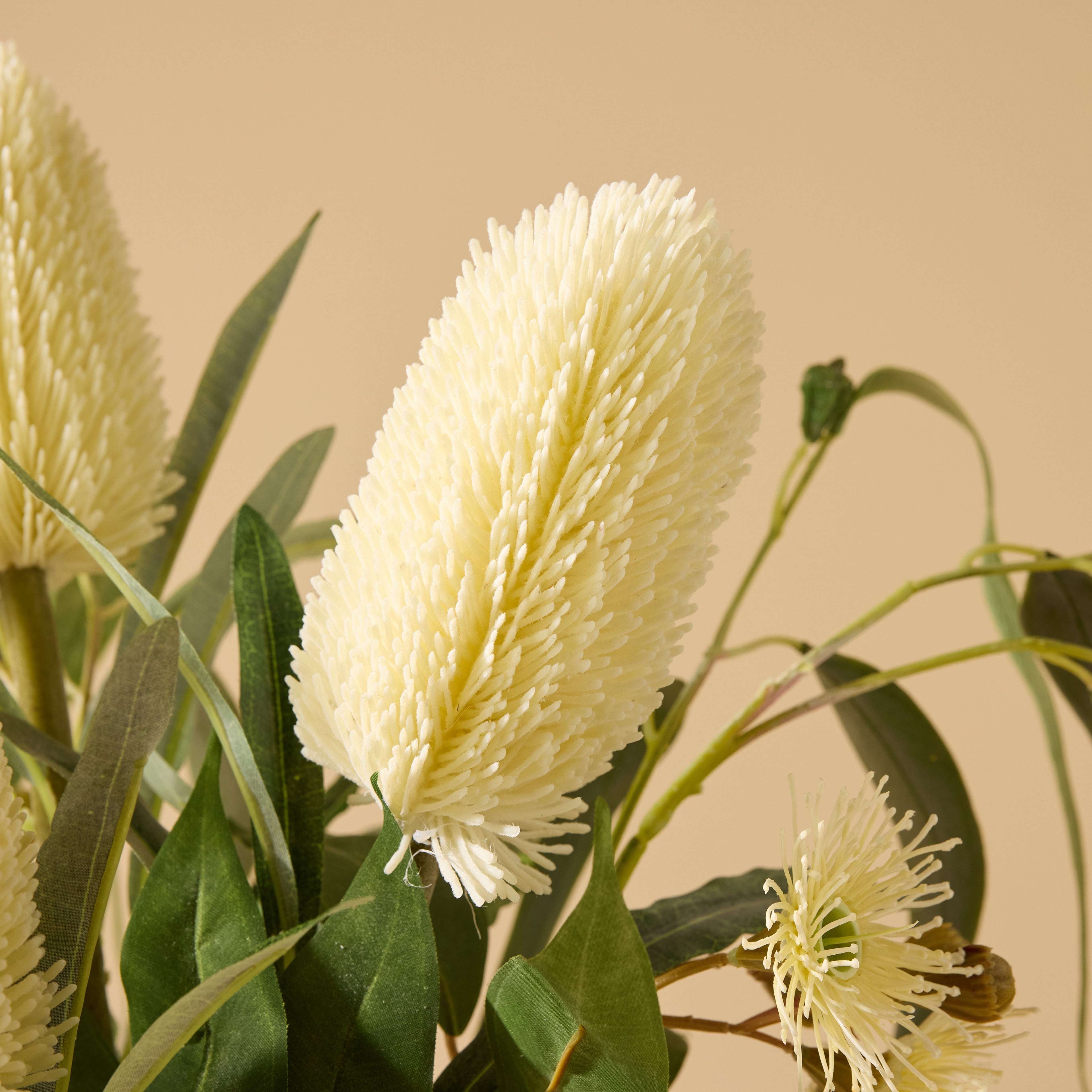 Faux Banksia Eucalyptus Arrangement - Rachel Vase | Cream - 85cm