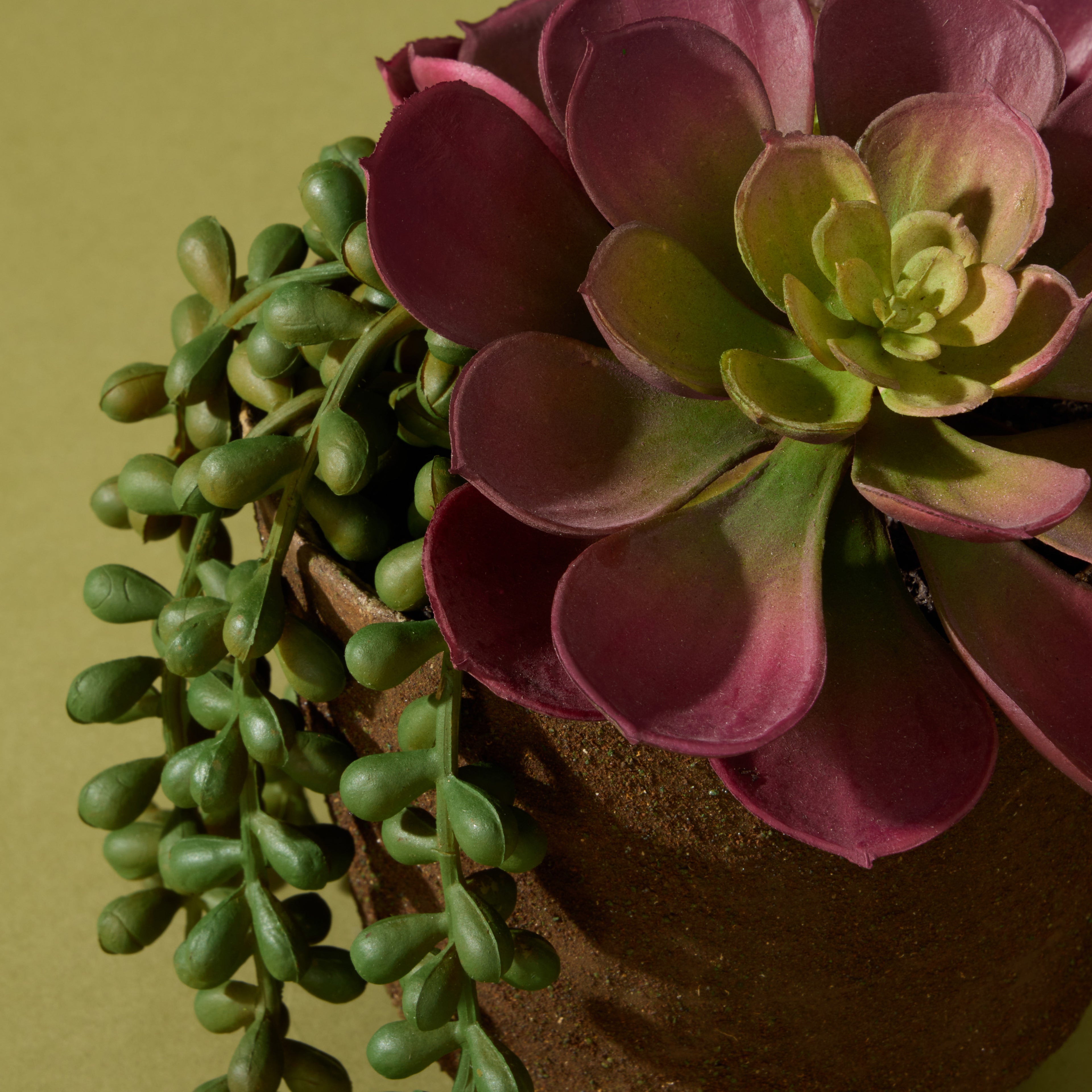 Faux Succulent Mix  - Palermo Pot | 17cm