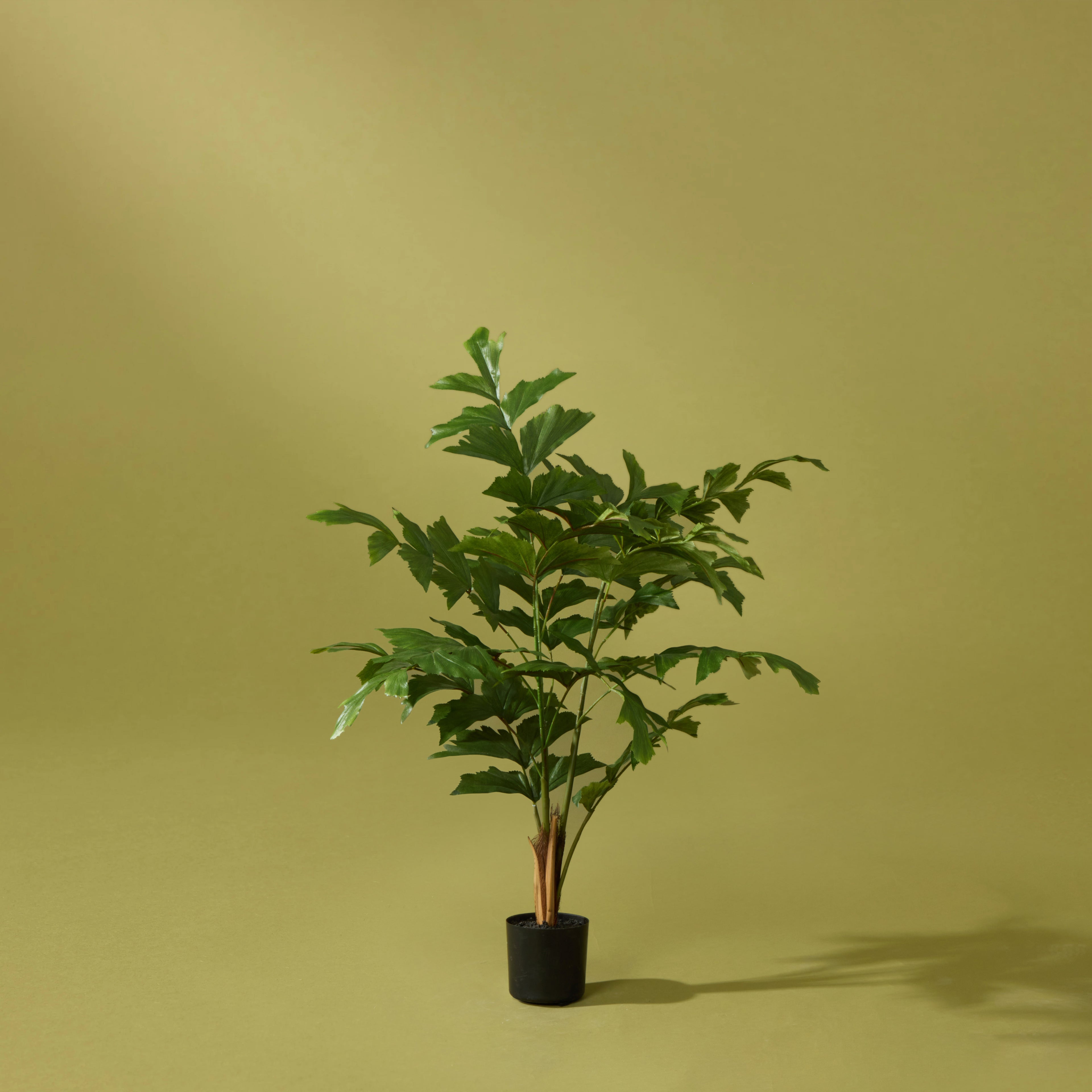 Faux Caryota Palm Tree - Garden Pot | 90cm