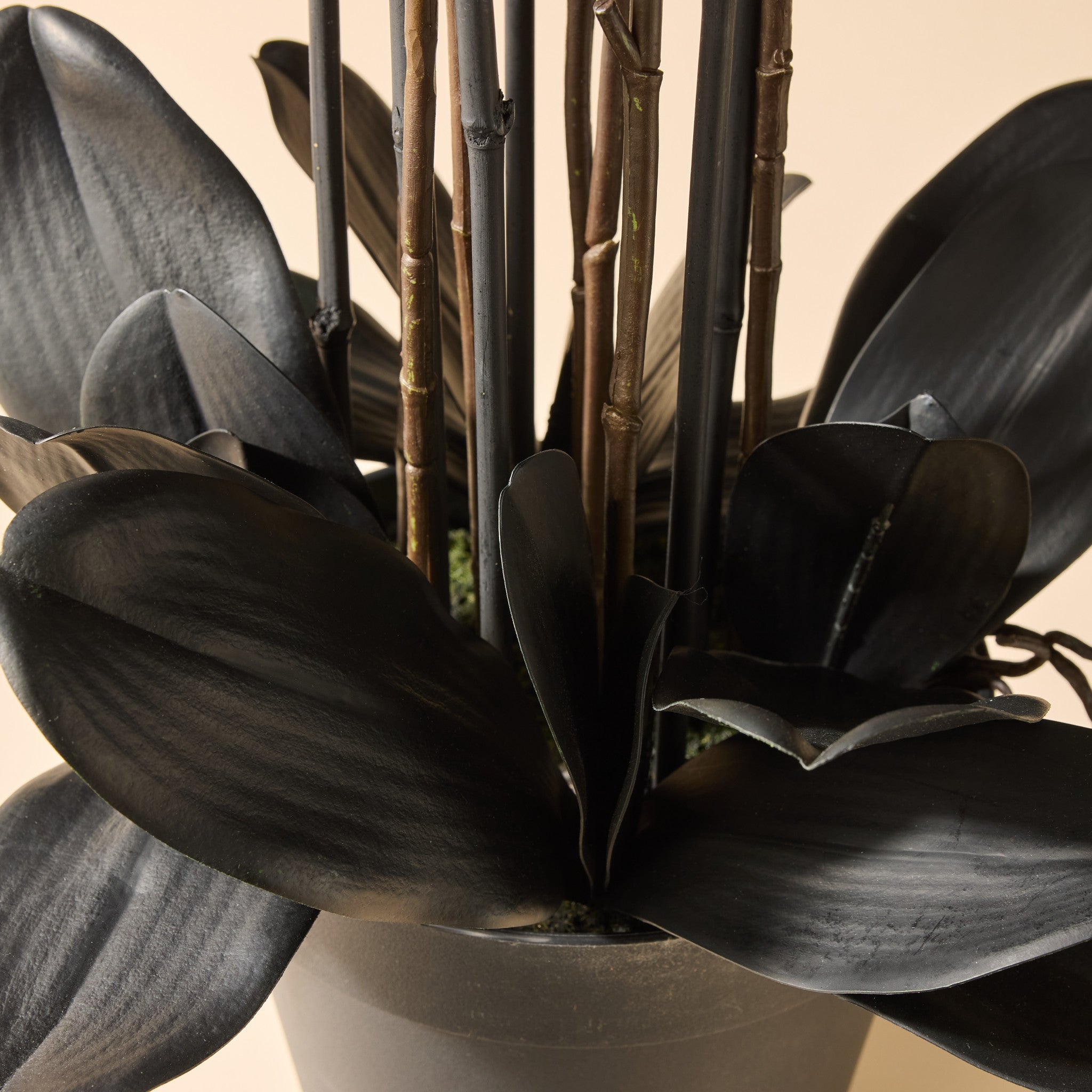 Faux Phalaenopsis Orchid Arrangement - Garden Pot | Black - 105cm