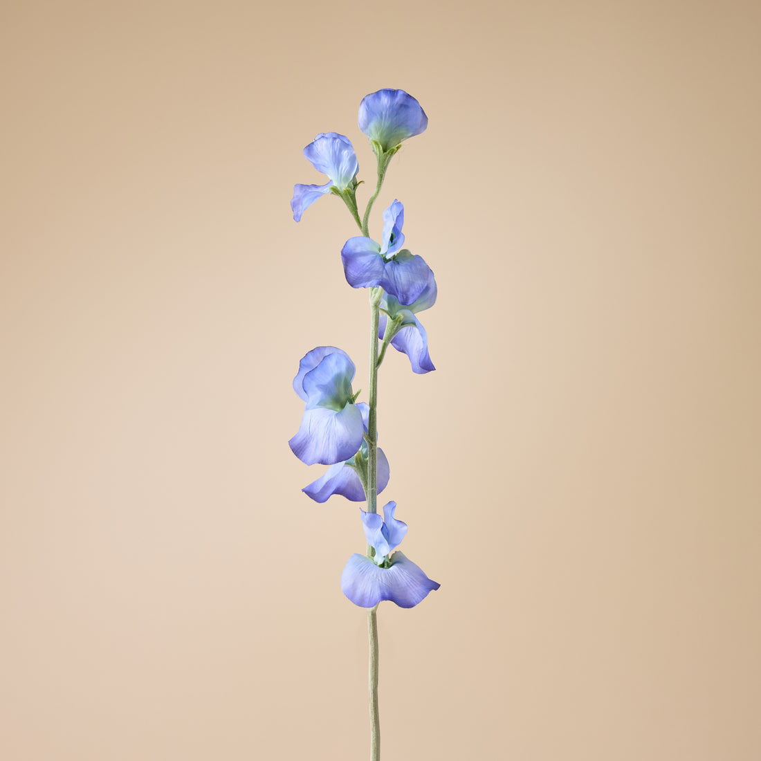 Faux Sweet Pea Spray | Blue - 64cm