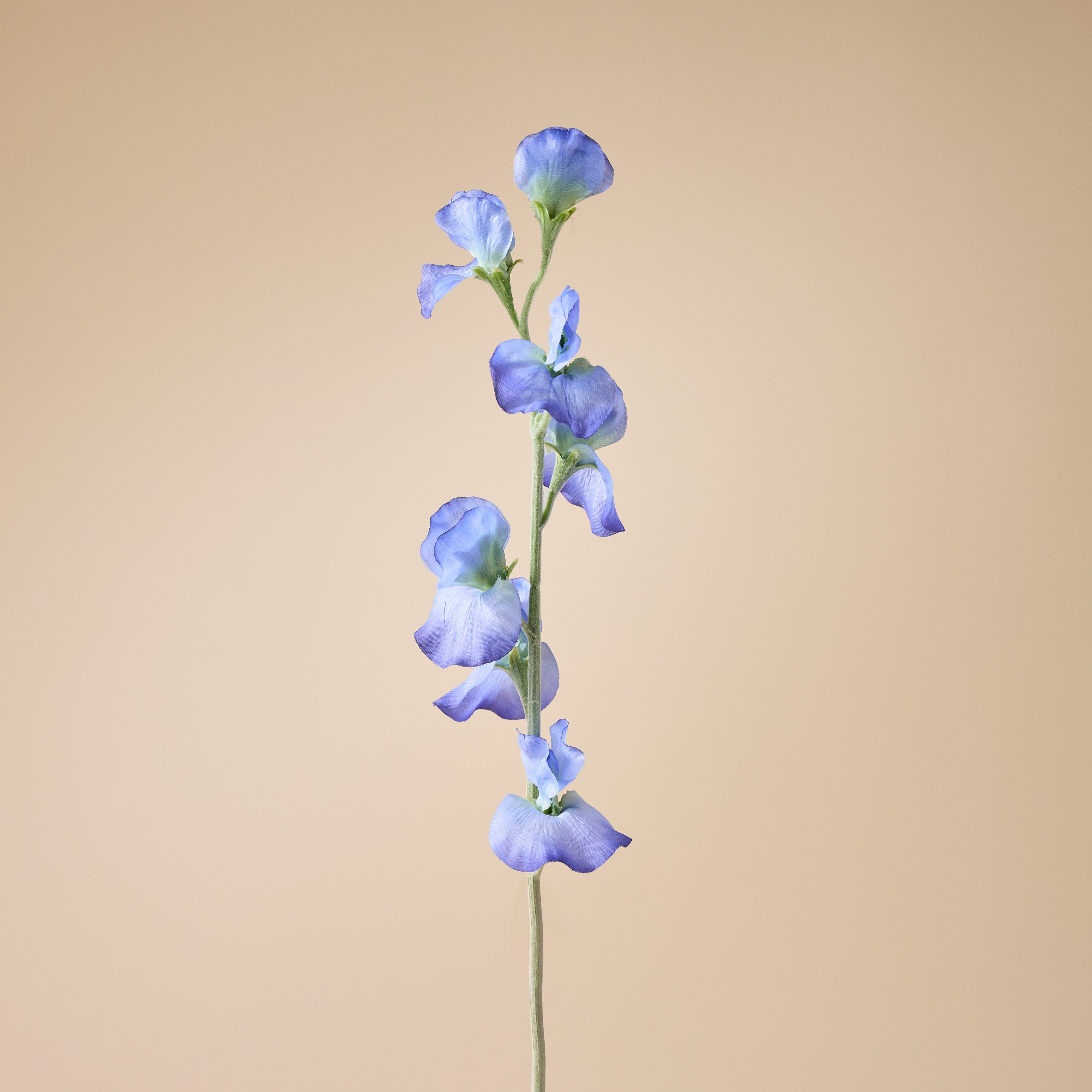 Faux Sweet Pea Spray | Blue - 64cm