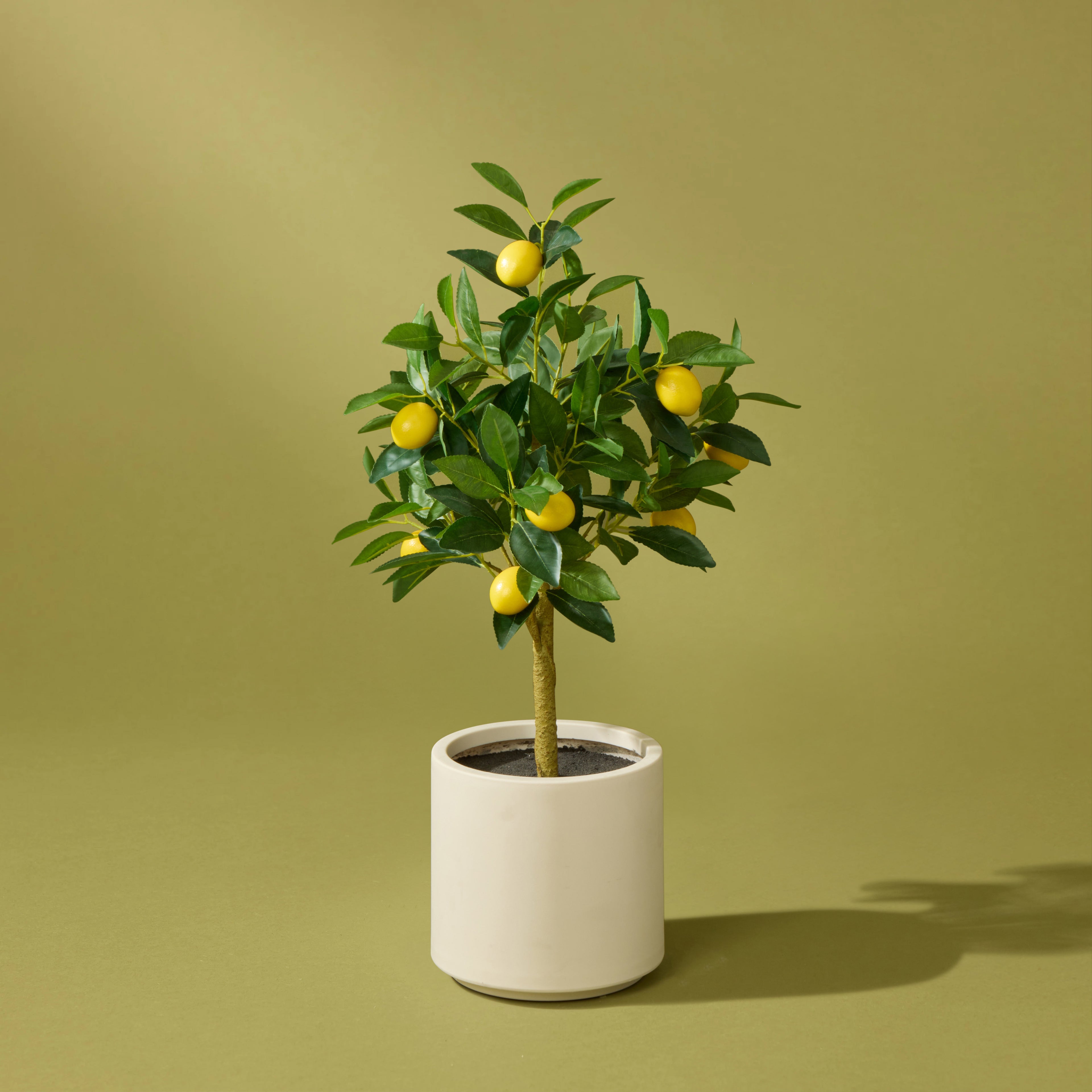 Faux Lemon Tree - White Pot | 76cm