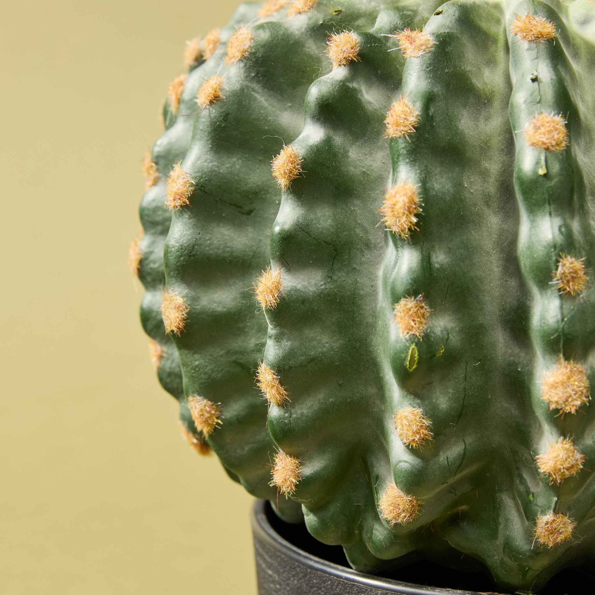 Faux Barrel Cactus | 22cm