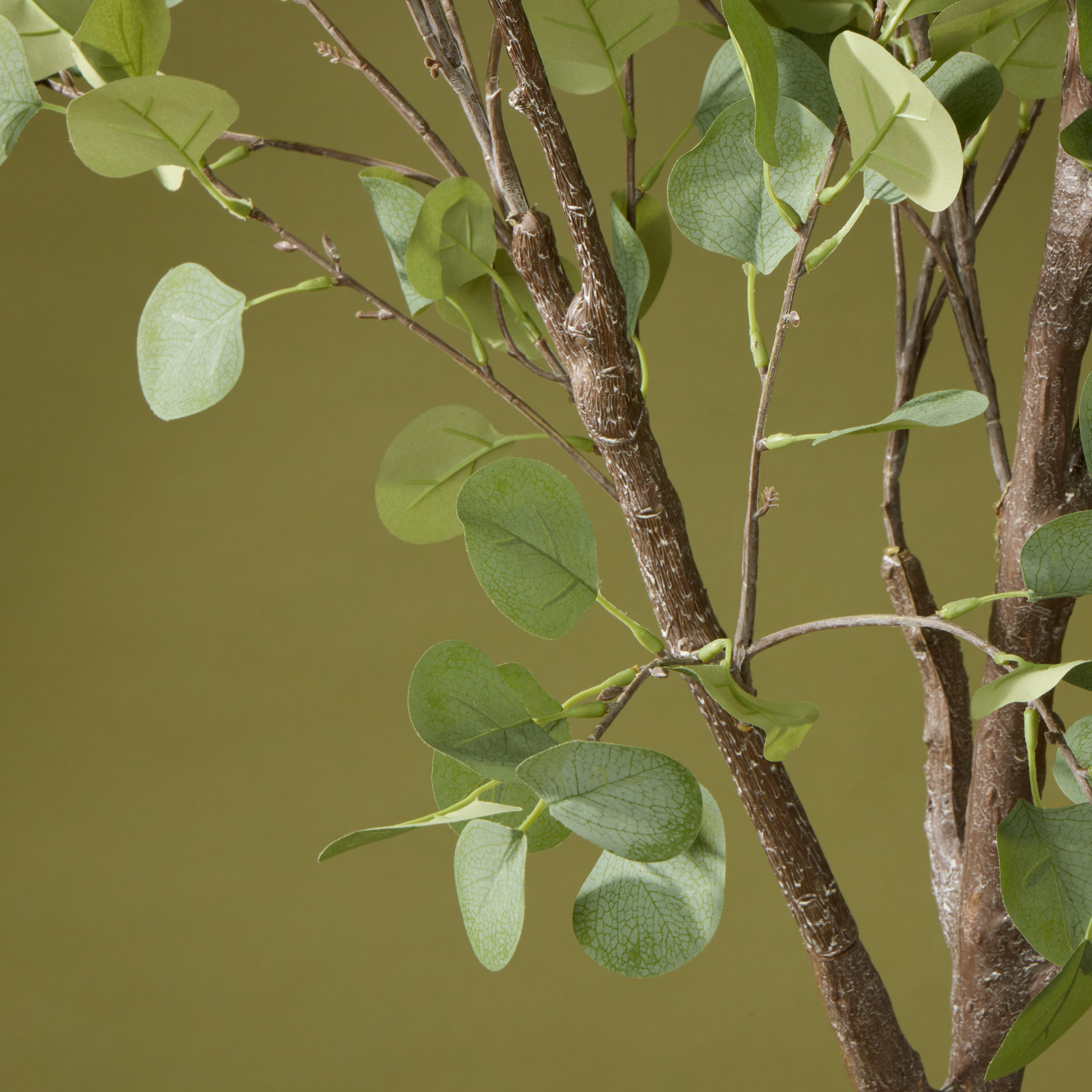 Faux Eucalyptus Tree Garden Pot | 185cm