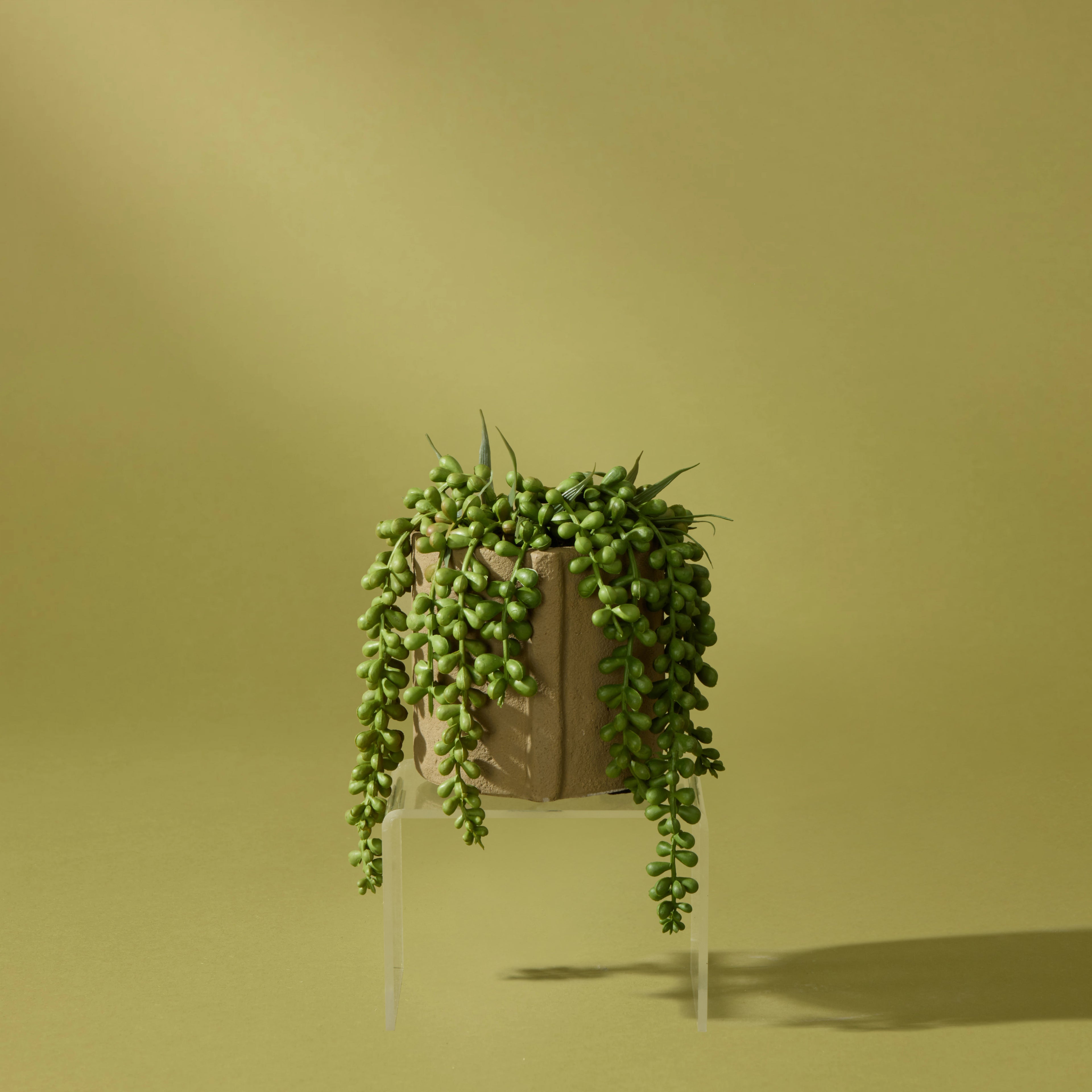 Faux Hanging Pearls - Danvers Pot | 17cm