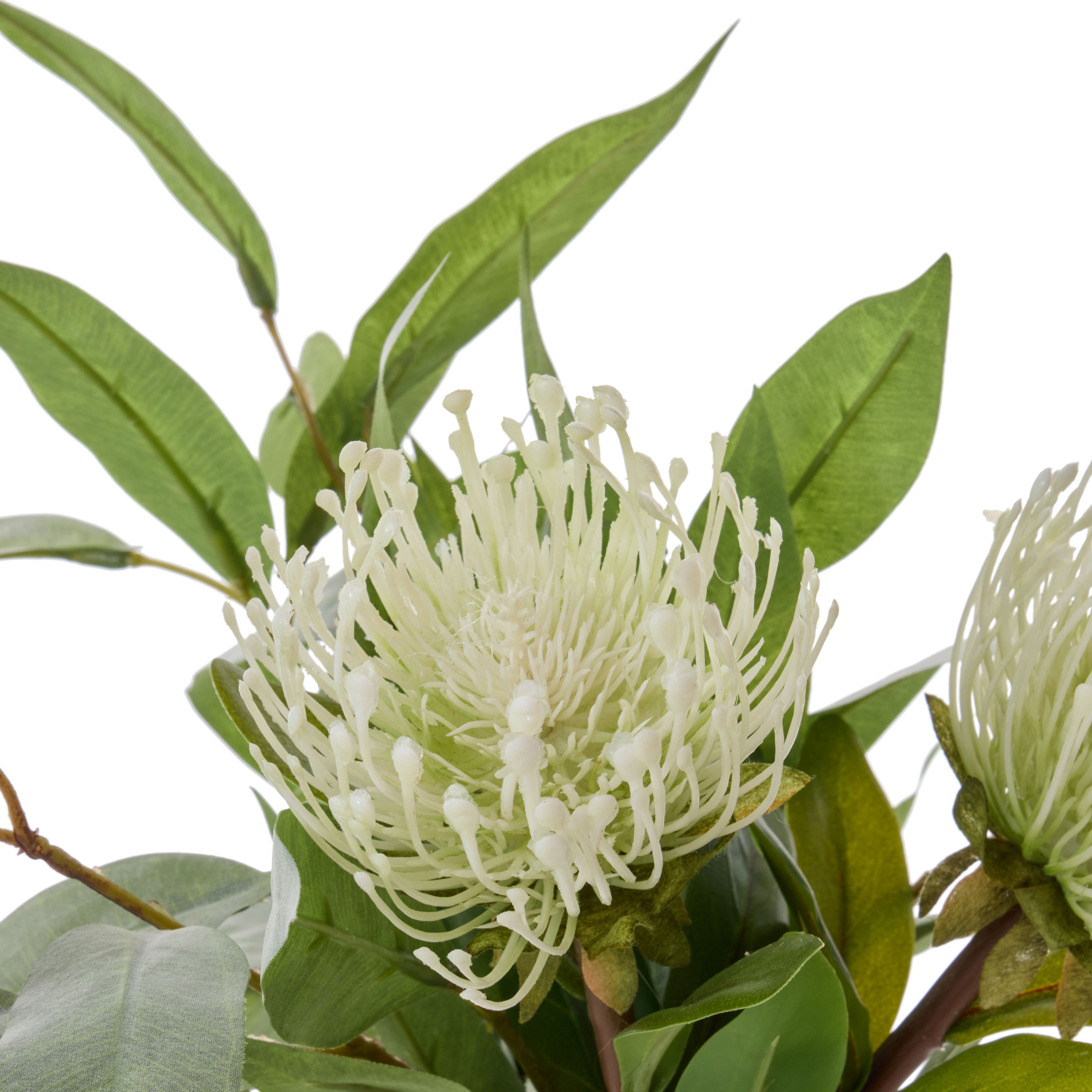 Faux Pincushion Eucalyptus - Sphere Vase | Cream- 30cm