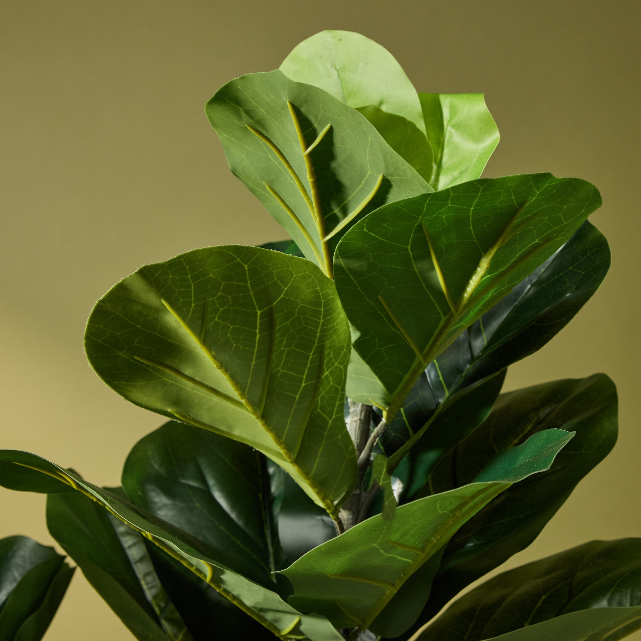 Faux Giant Fiddle Tree | 150cm