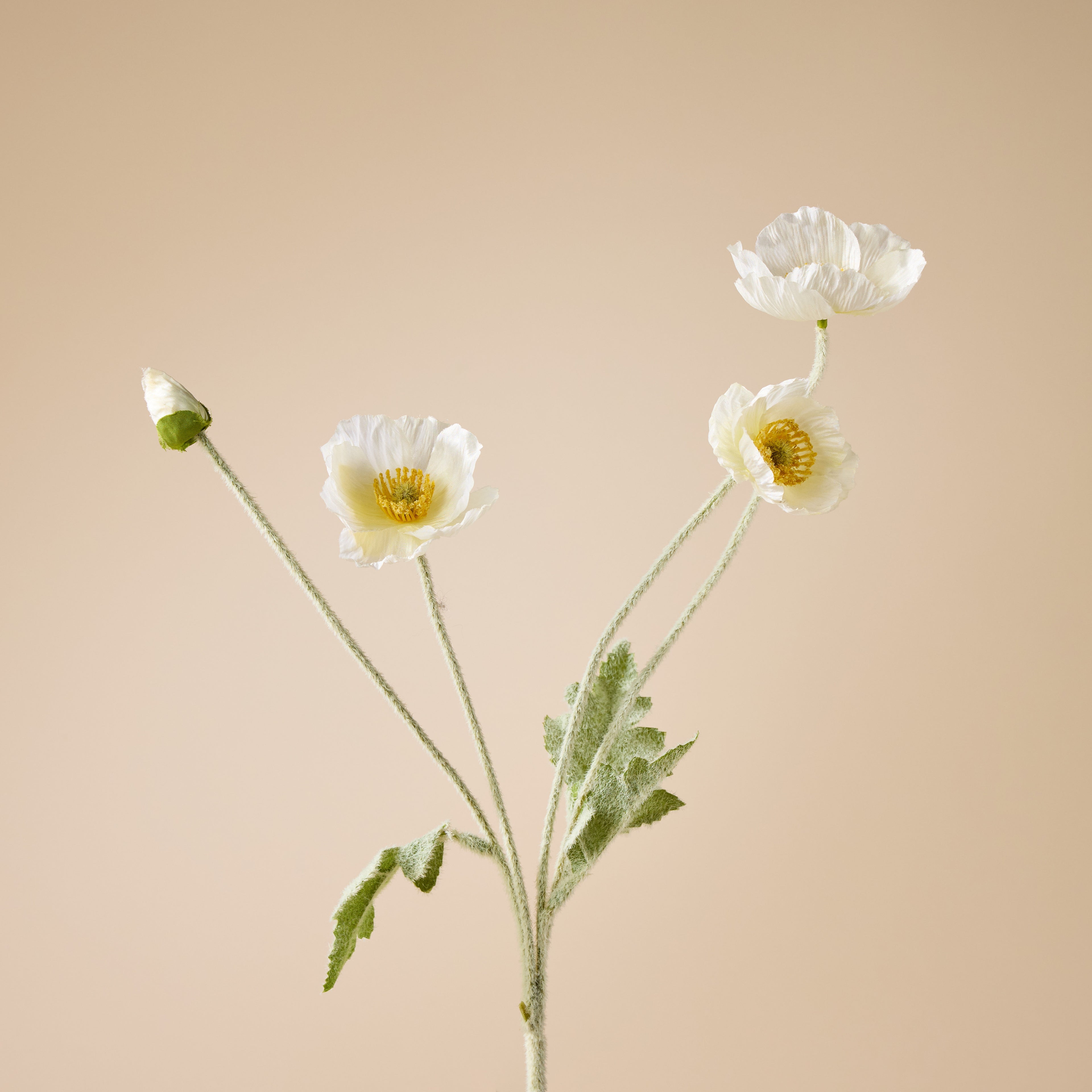 Faux Poppy Spray | Cream - 60cm