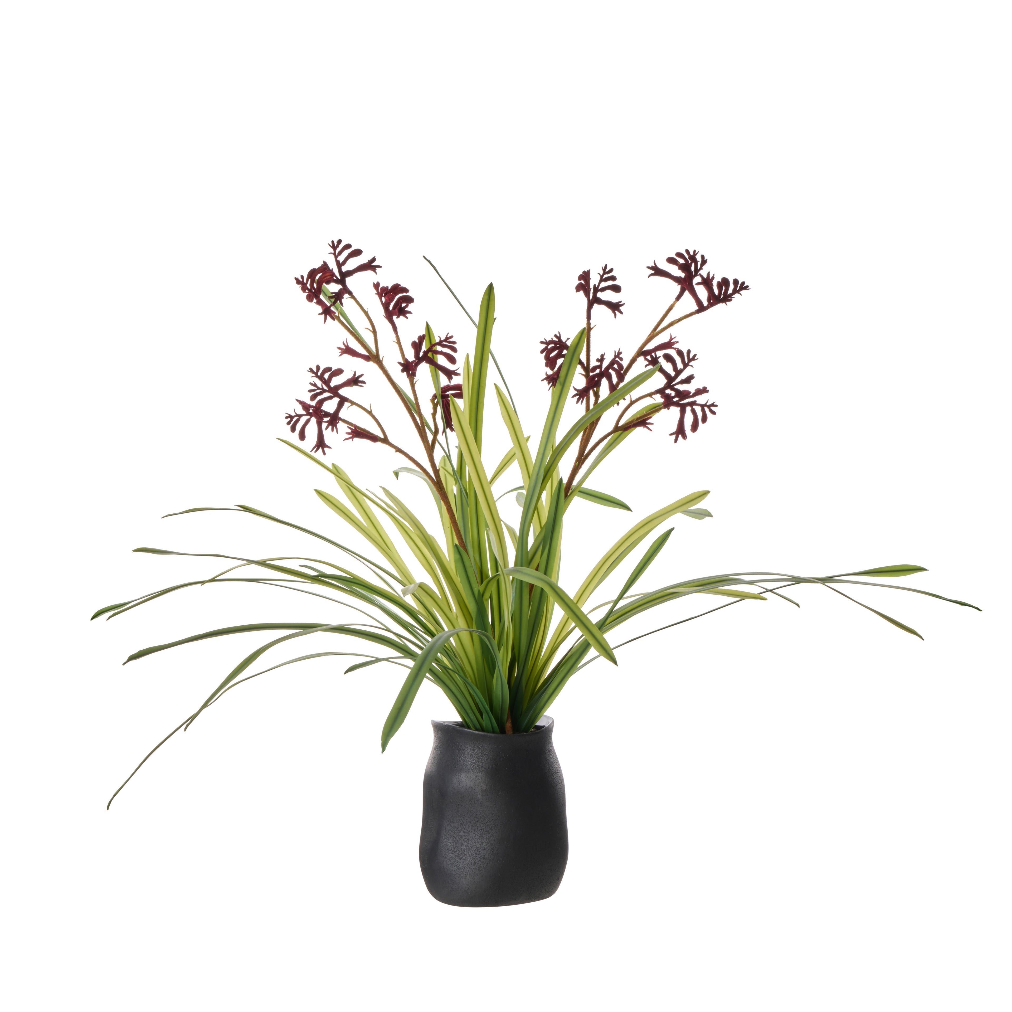 Faux Kangaroo Paw - Maliah Pot | Red - 72cm