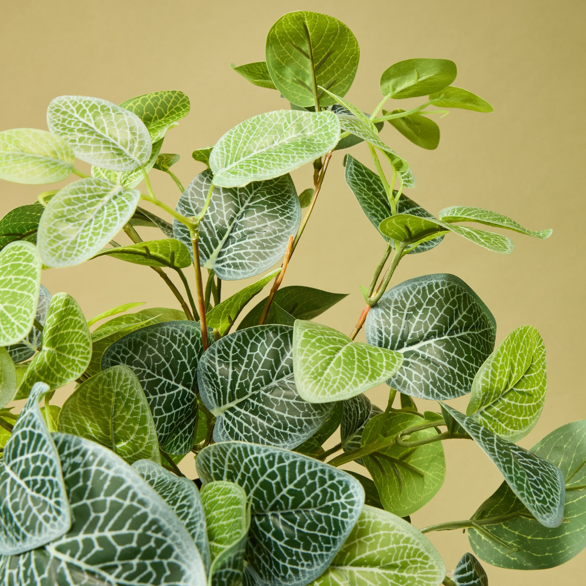 Faux Hanging Fittonia - Garden Pot | 82cm