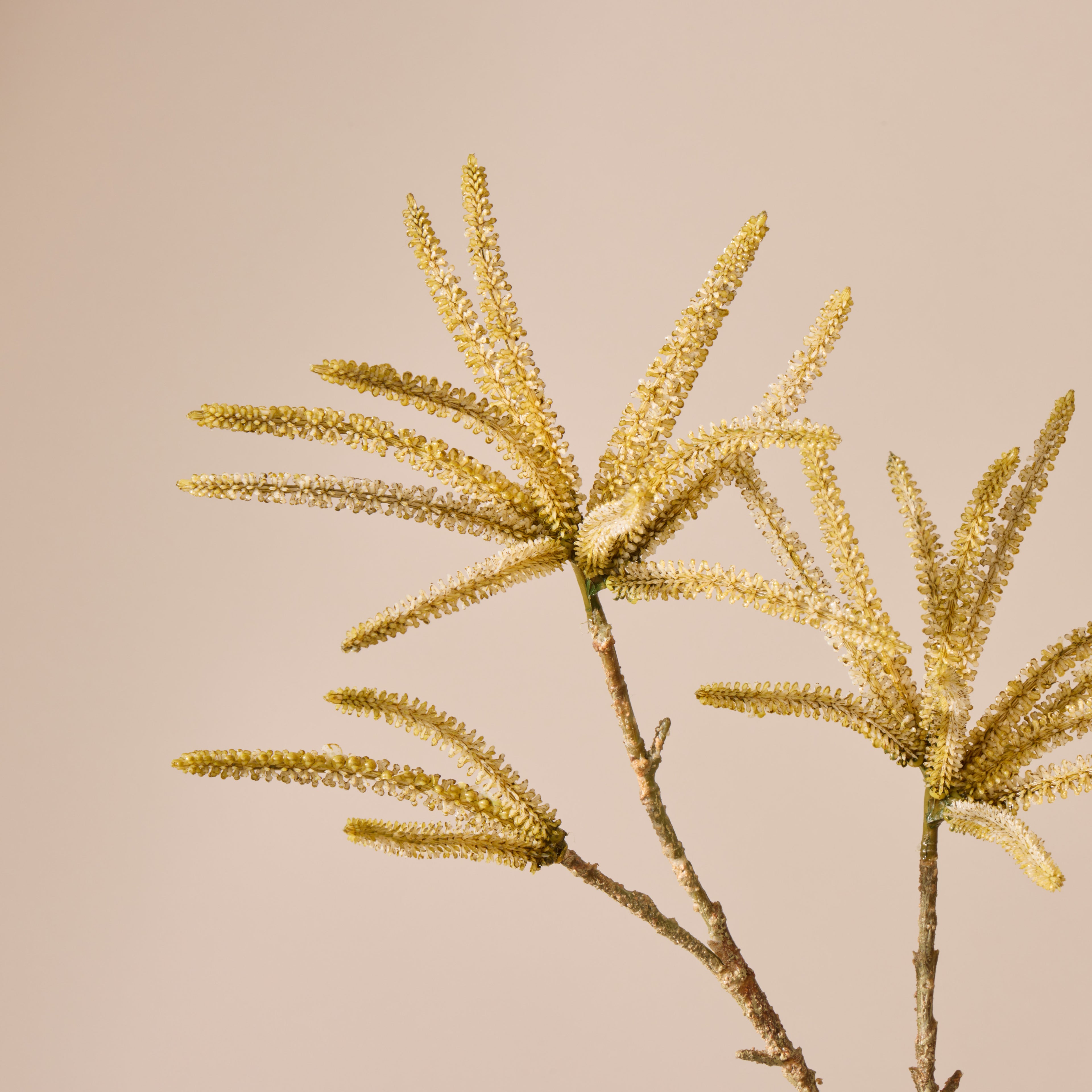 Faux Catkin Spray | Yellow - 89cm