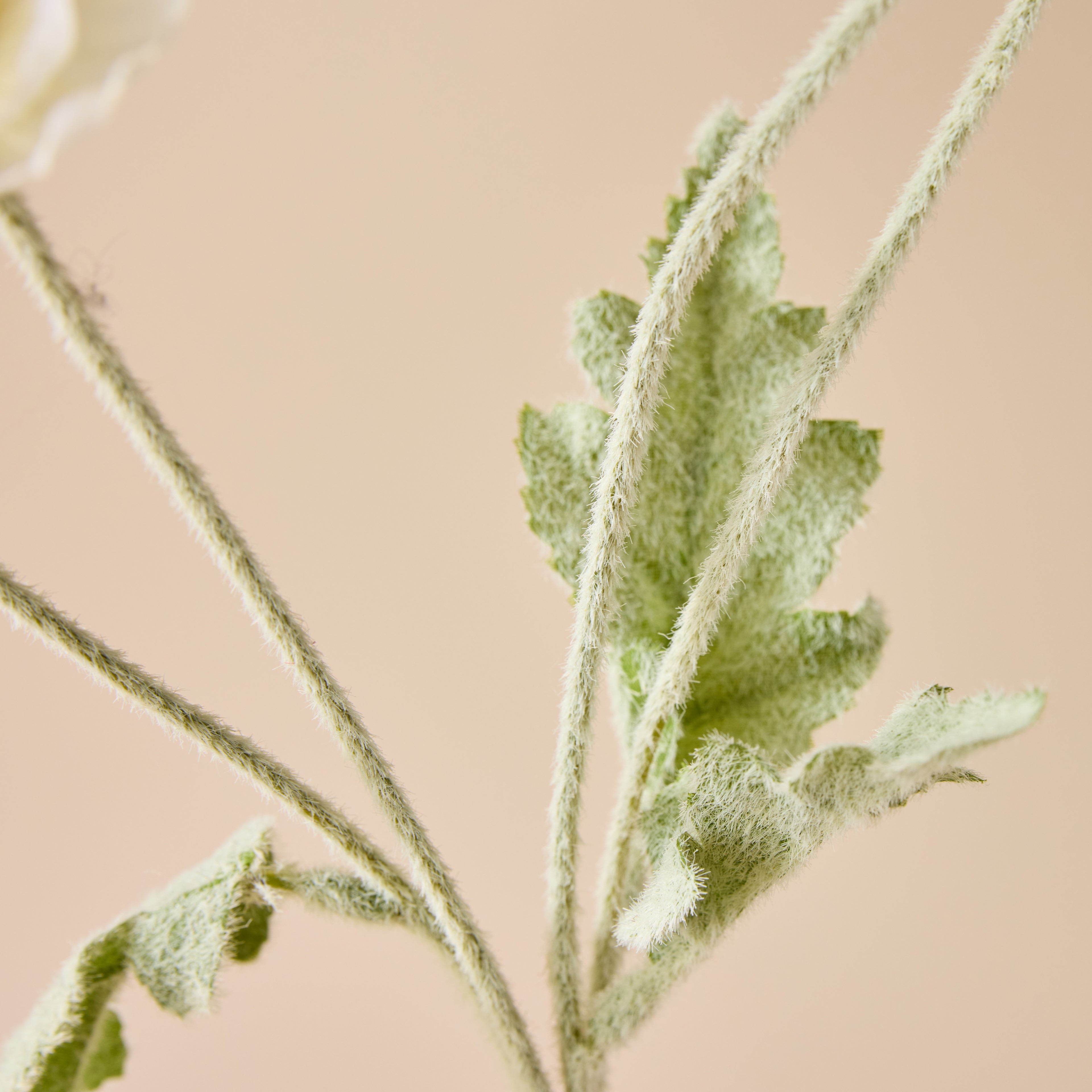 Faux Poppy Spray | Cream - 60cm