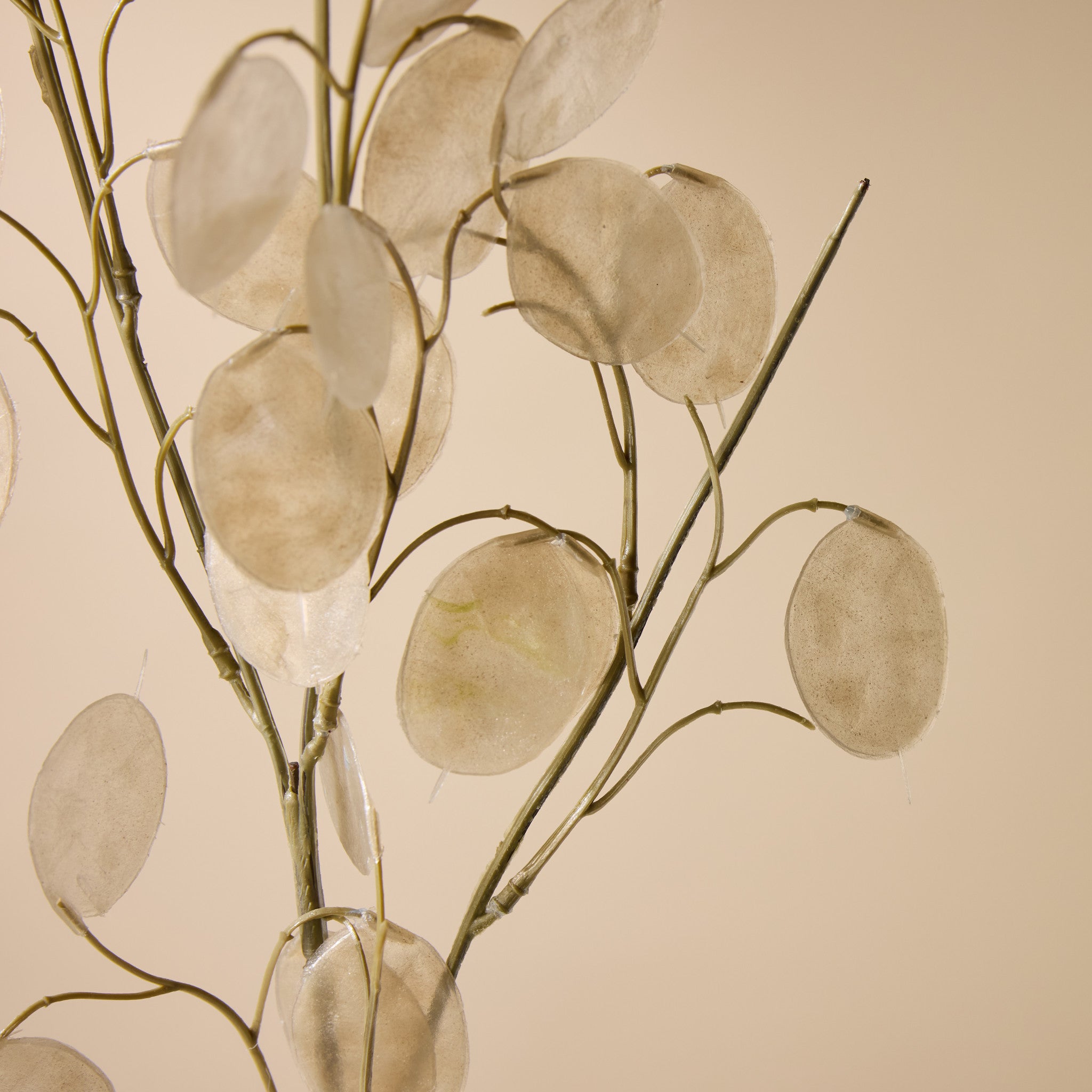 Faux Silver Dollar Eucalyptus Spray | Cream - 76cm