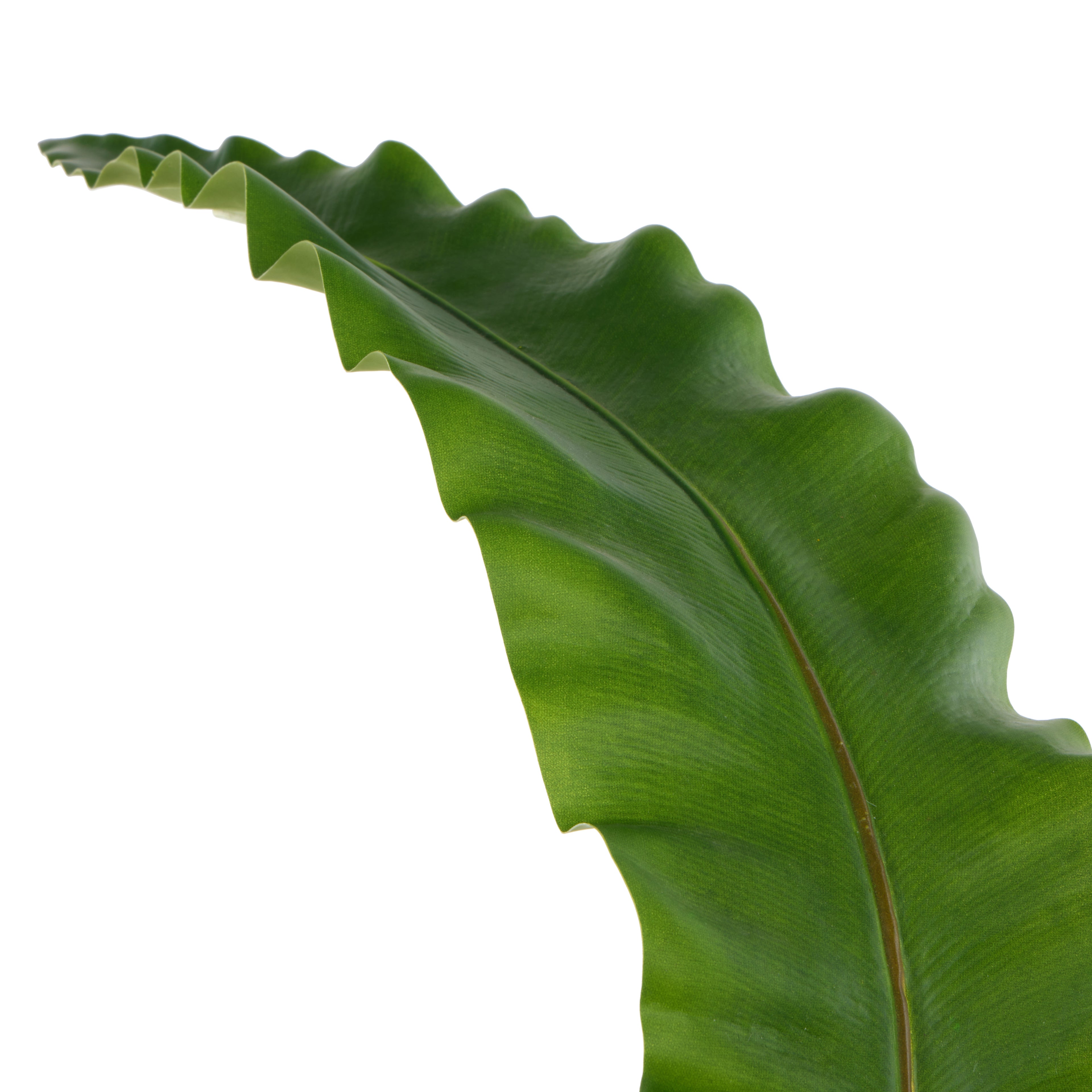 Faux Fern Leaf | Green - 116cm