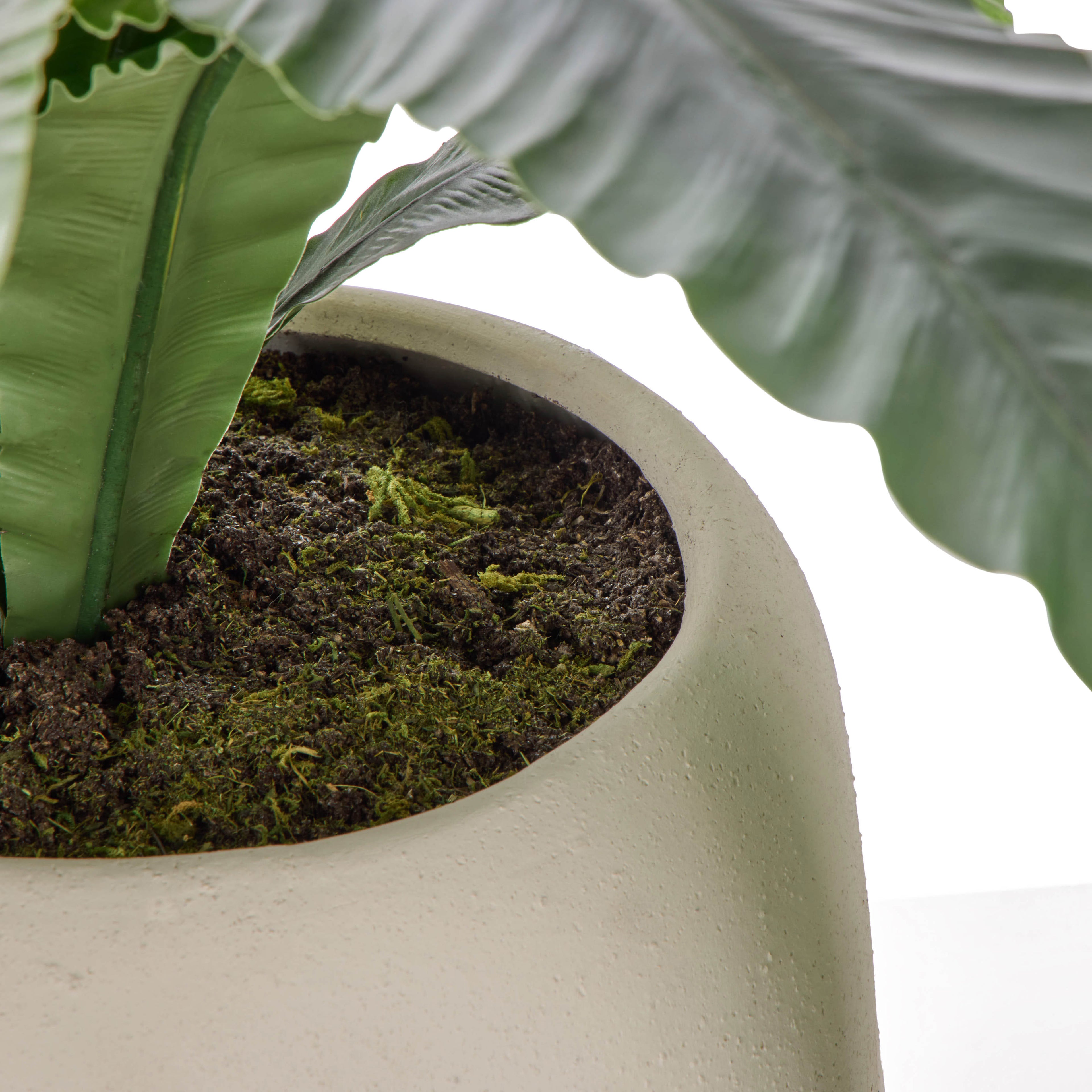 Faux Birds Nest Fern UV Treated - Lyon Planter | Green - 55cm