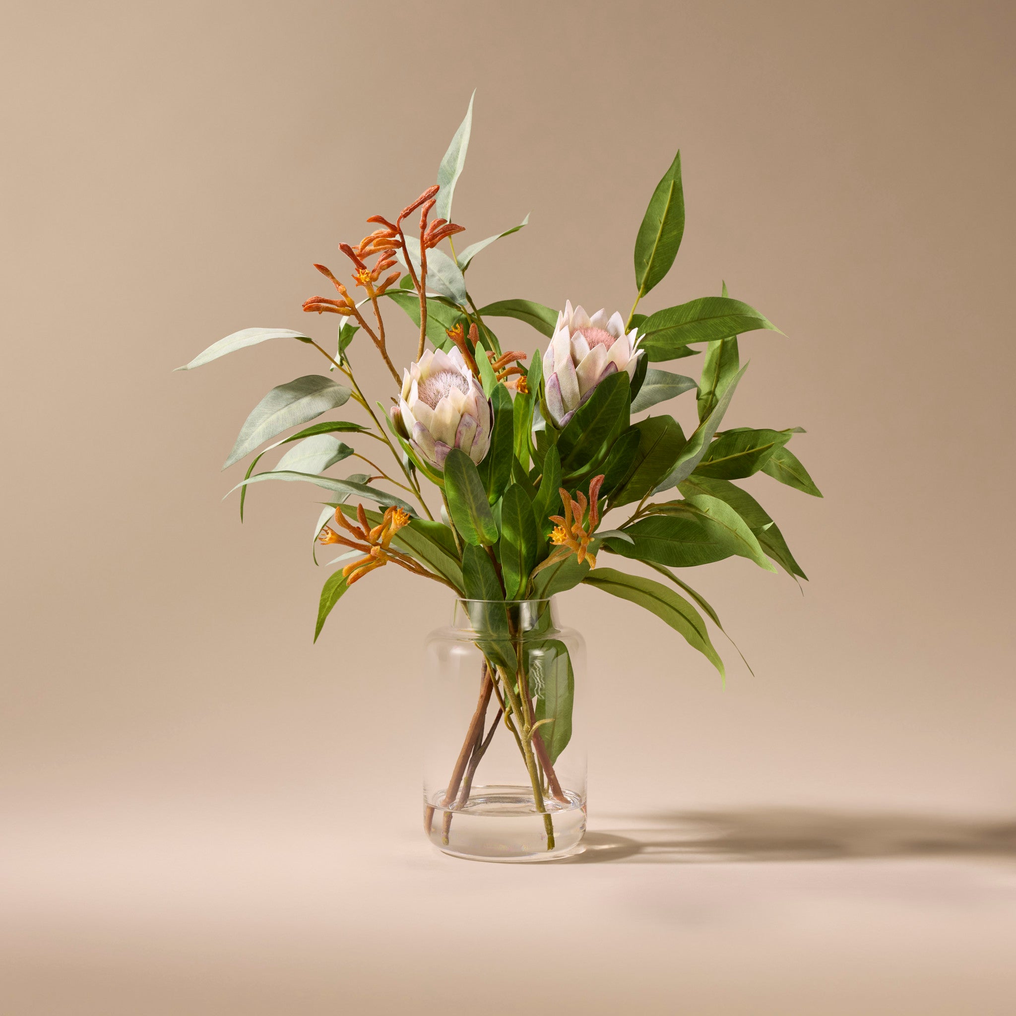 Faux Pitaya Kangaroo Paw Arrangement - Pauline Vase | Cream - 47cm