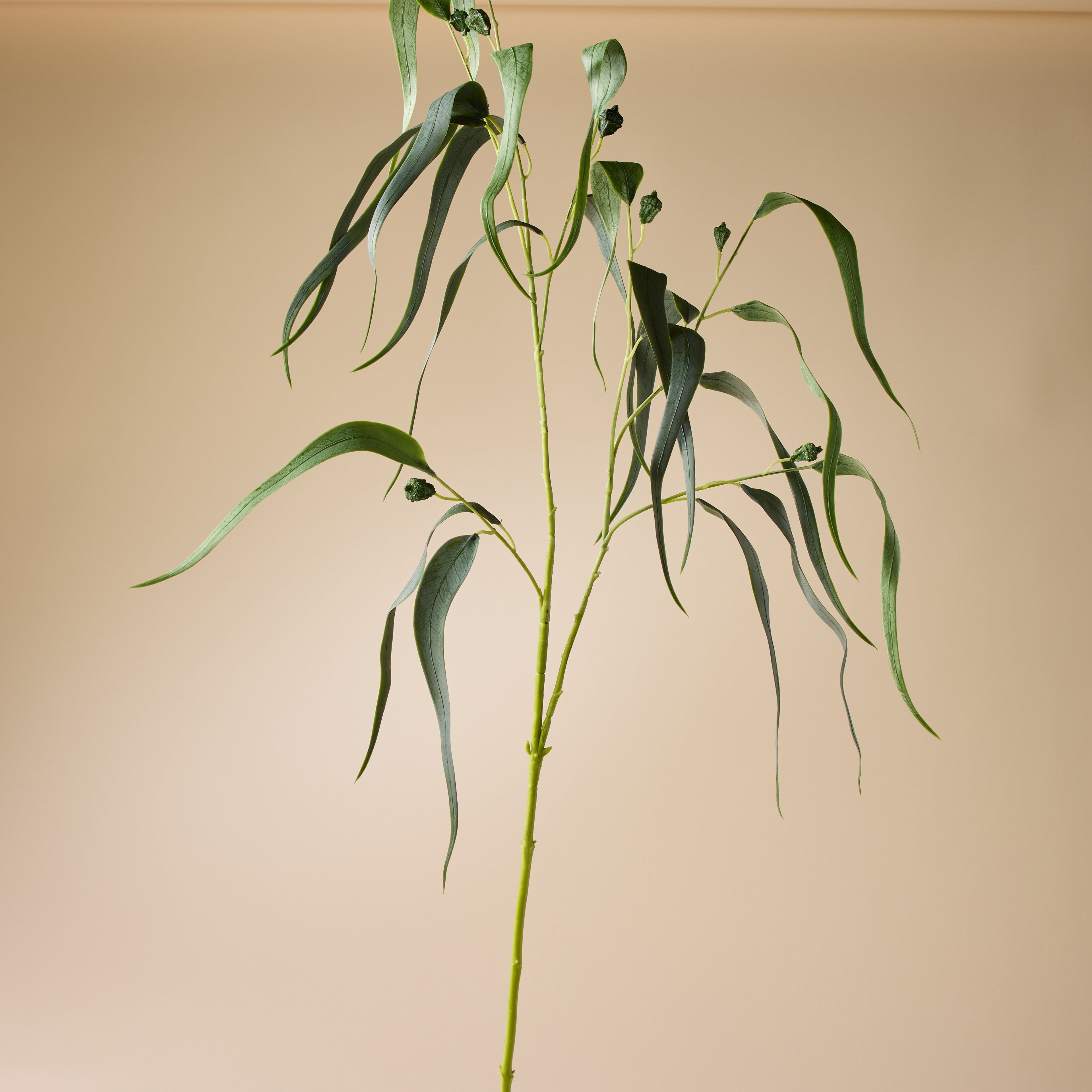 Faux Eucalyptus Gum Nut Spray | 122cm