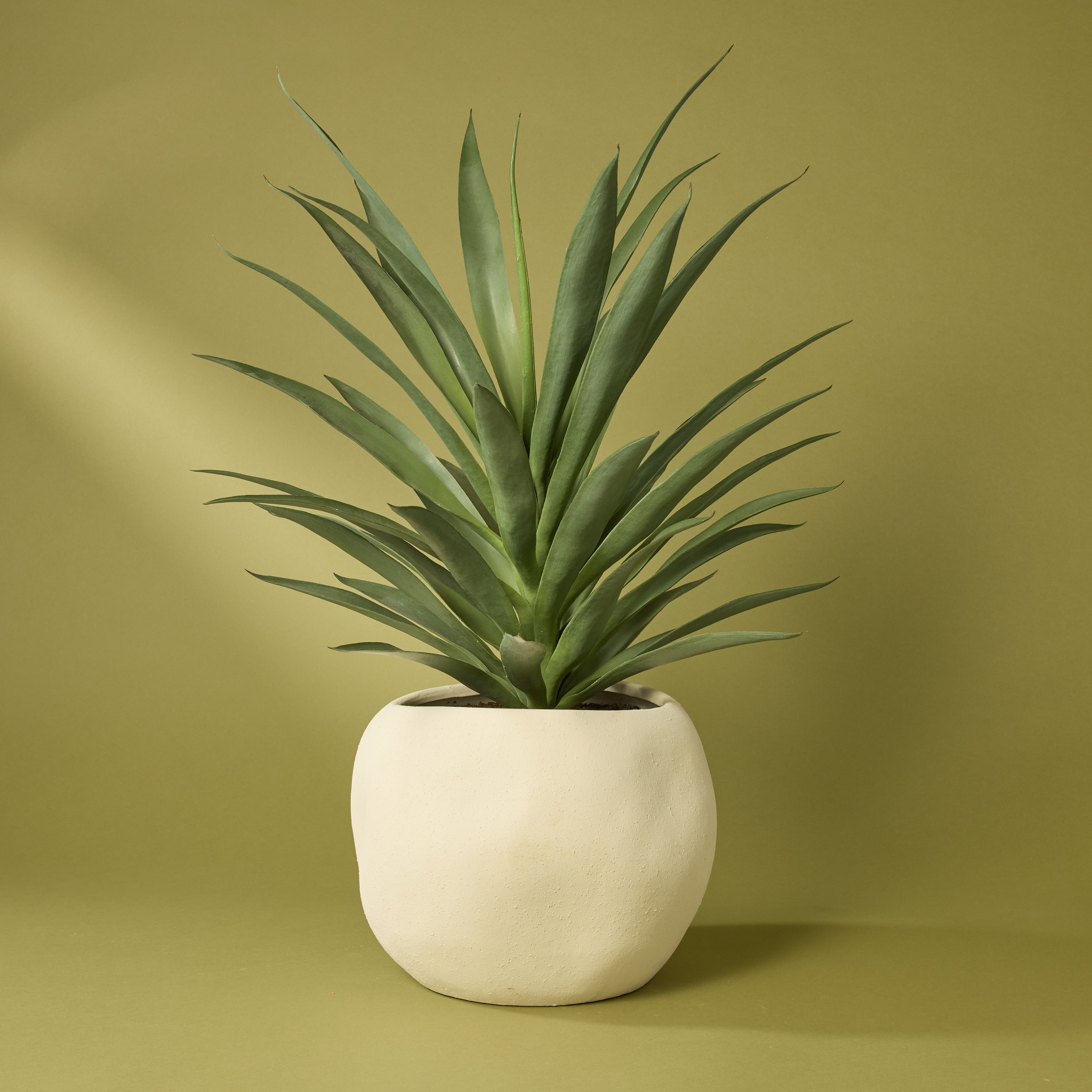 Faux Yucca Plant - Lyon Planter | Cream - 78cm