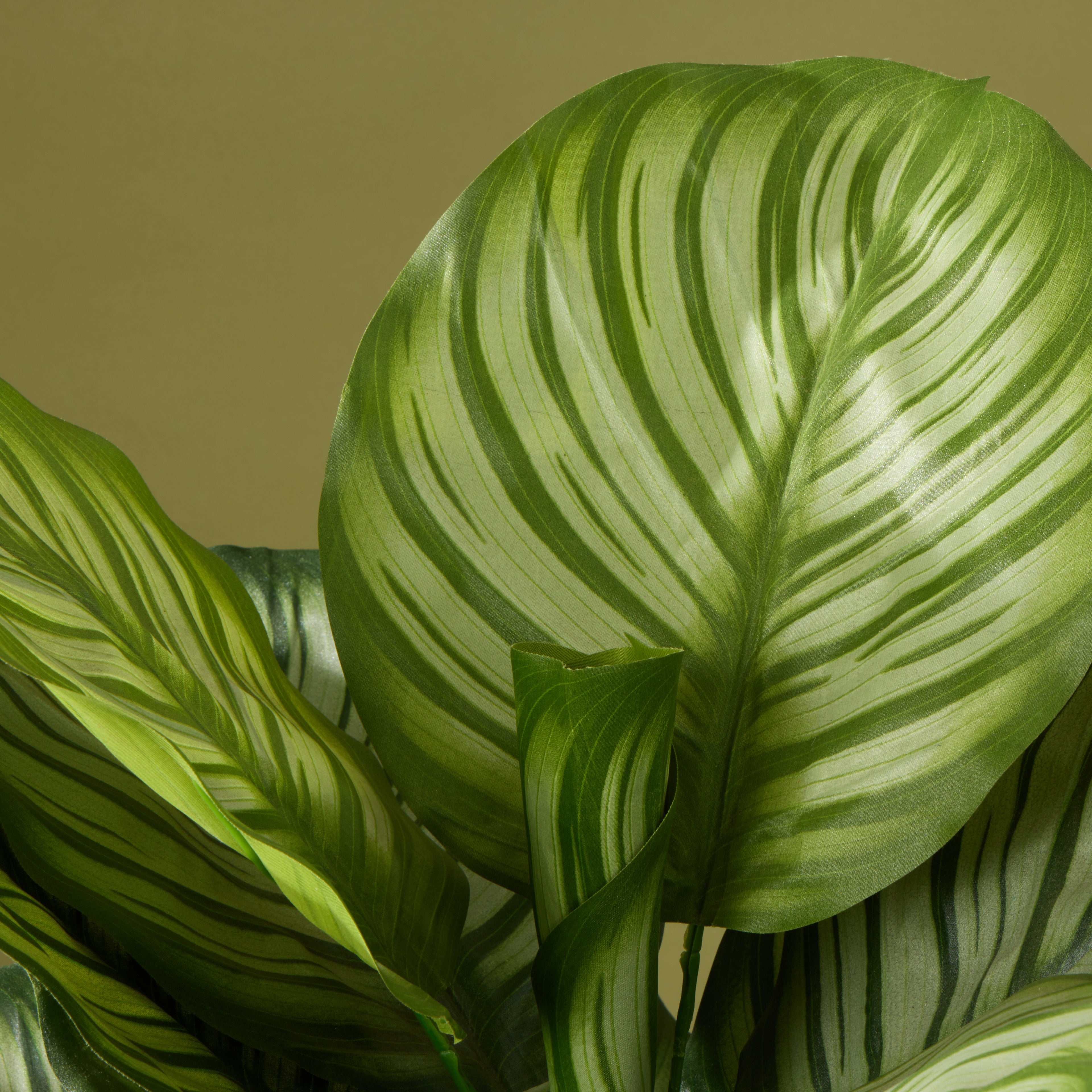 Faux Calathea Plant - Ryker Stonelite Planter | White - 113cm