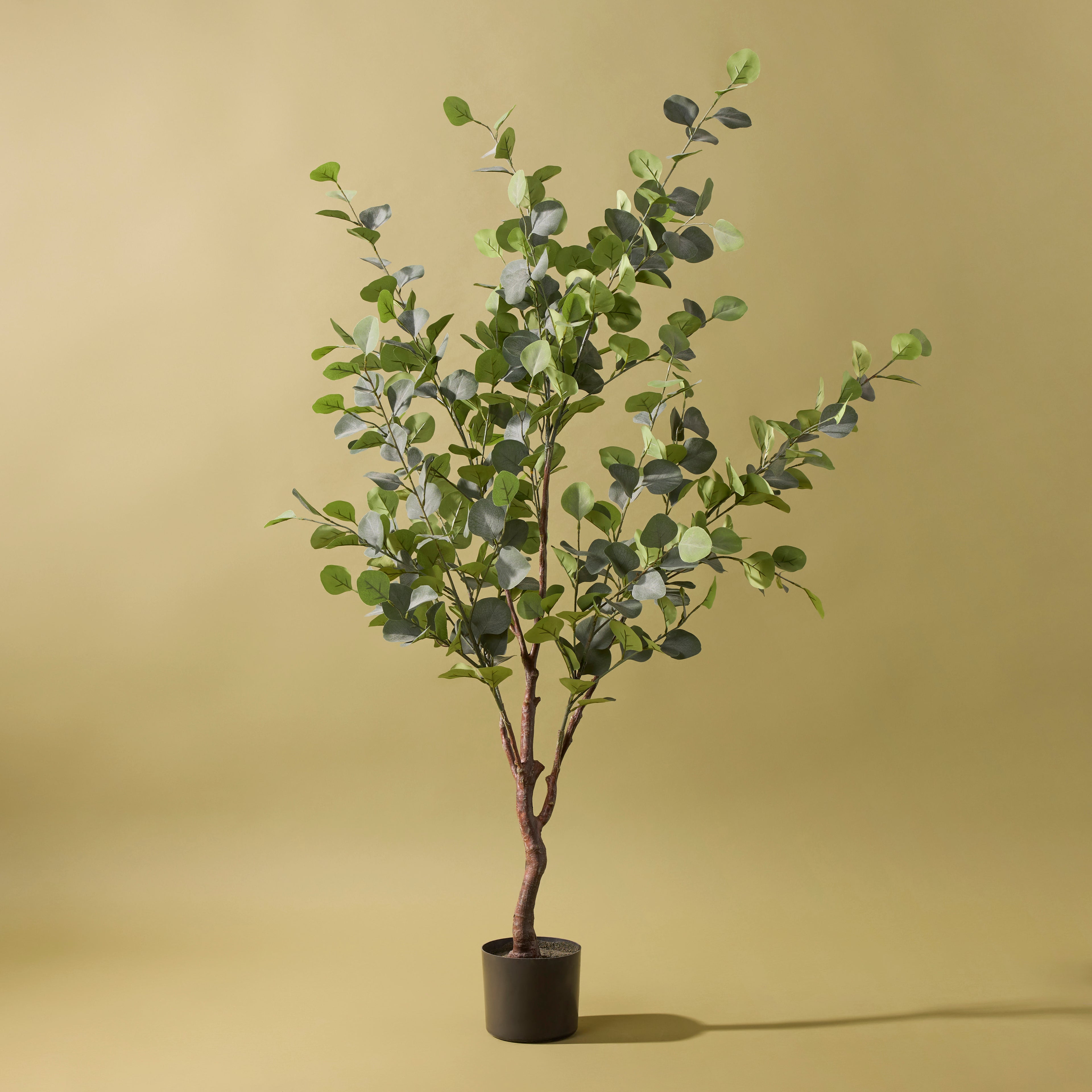 Faux Eucalyptus Silver Dollar Tree | 145cm